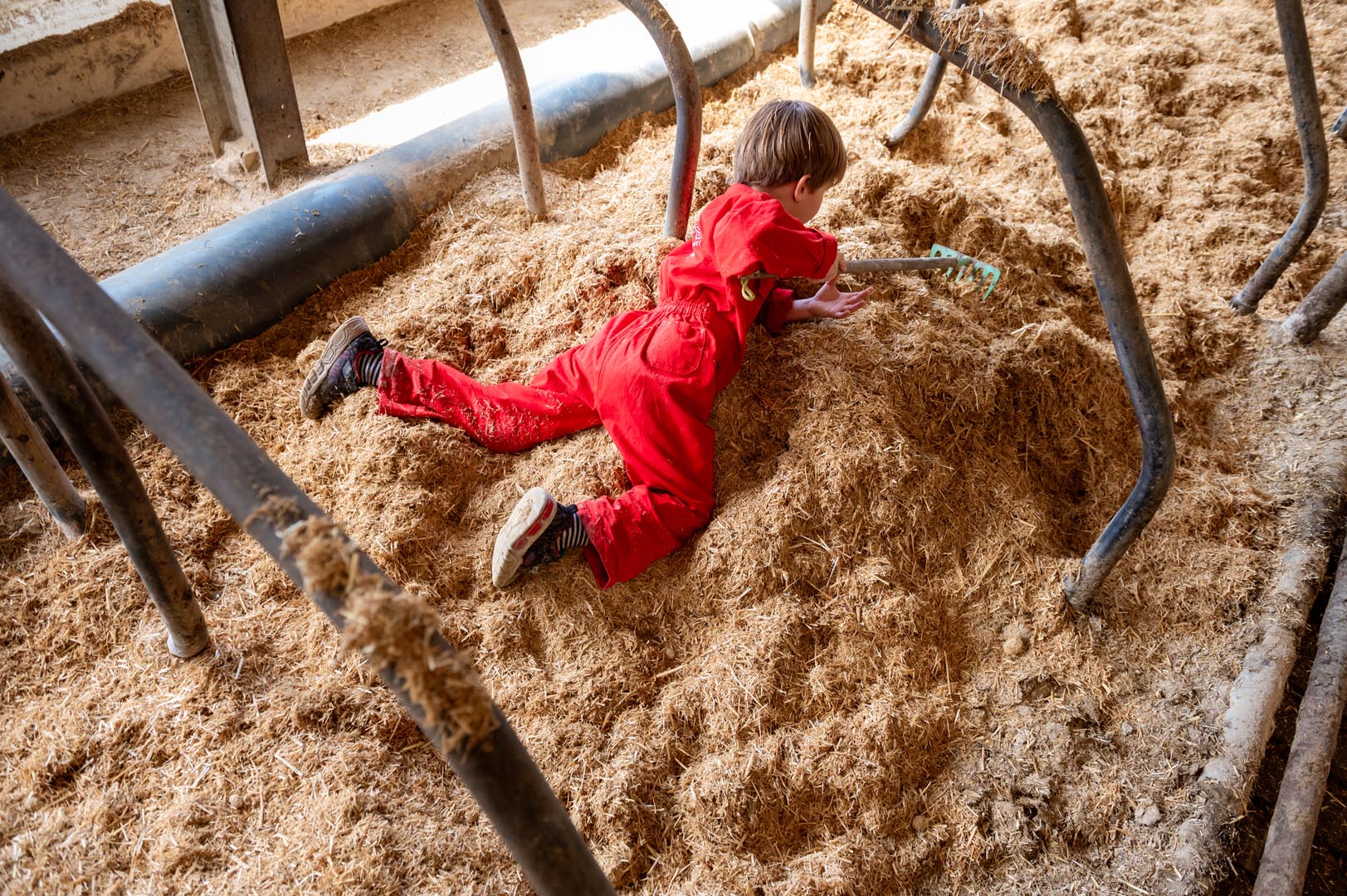- image: 21