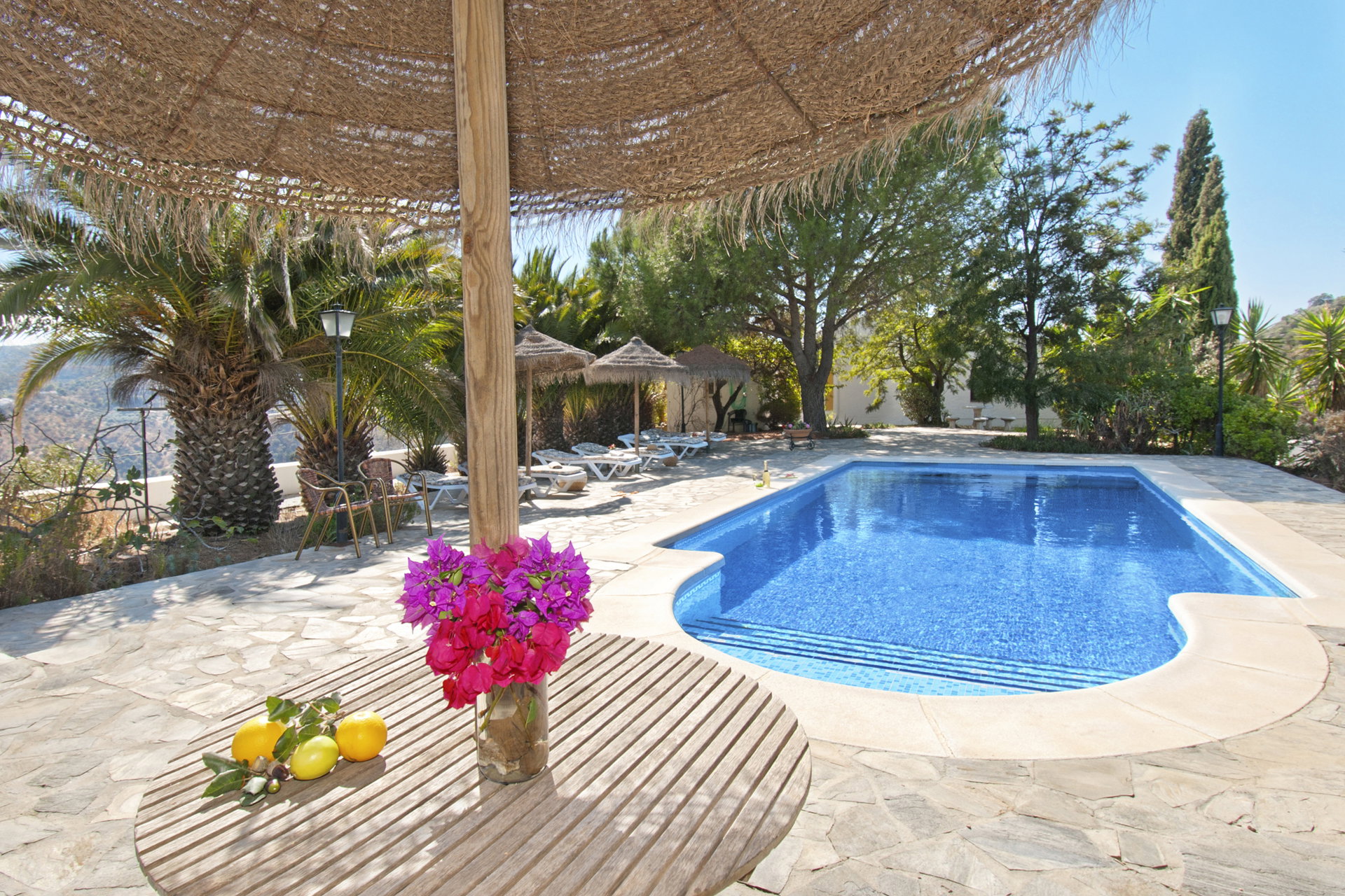 - image: 21