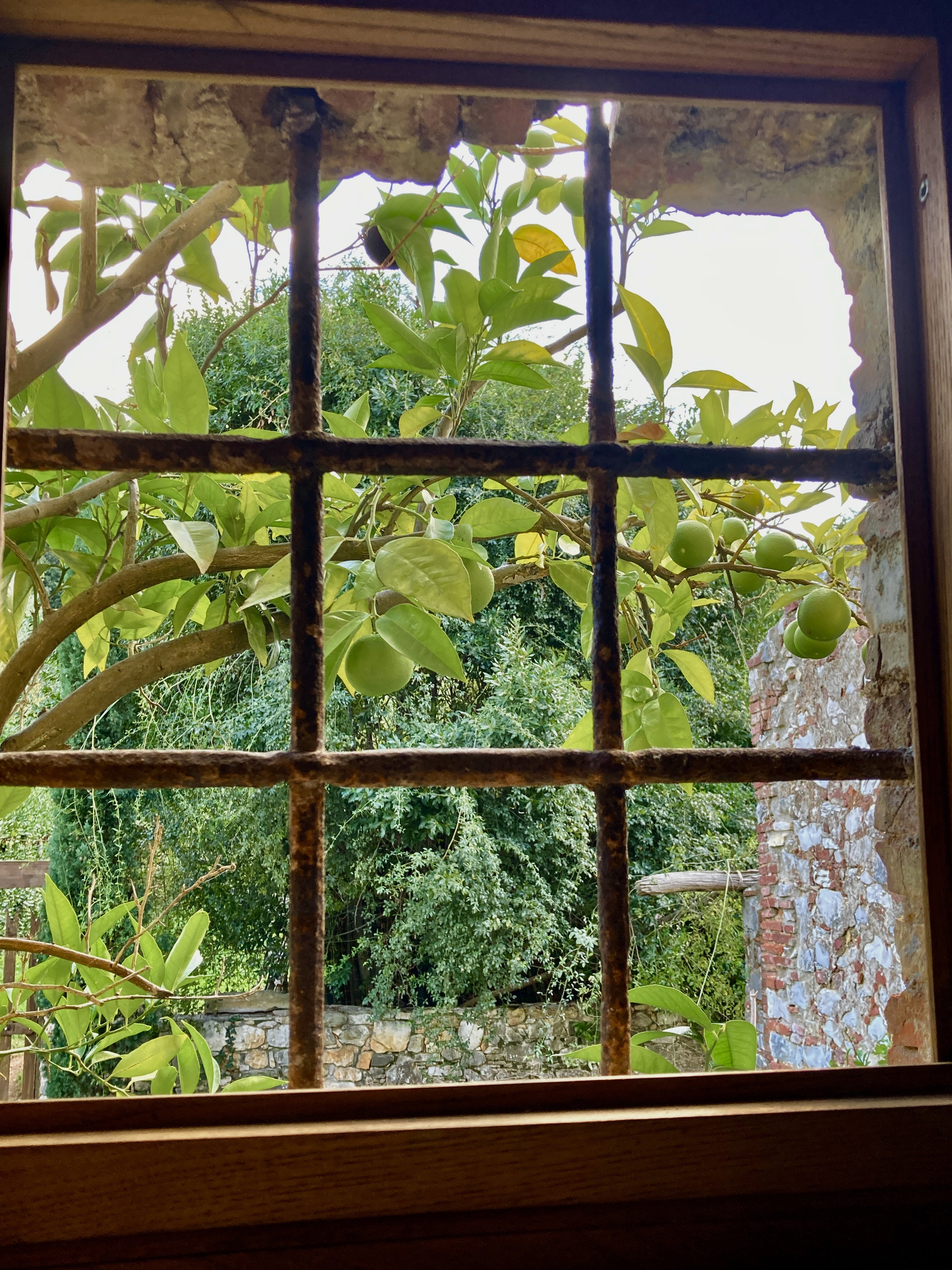 Casa nella natura a Gattaiola Lucca