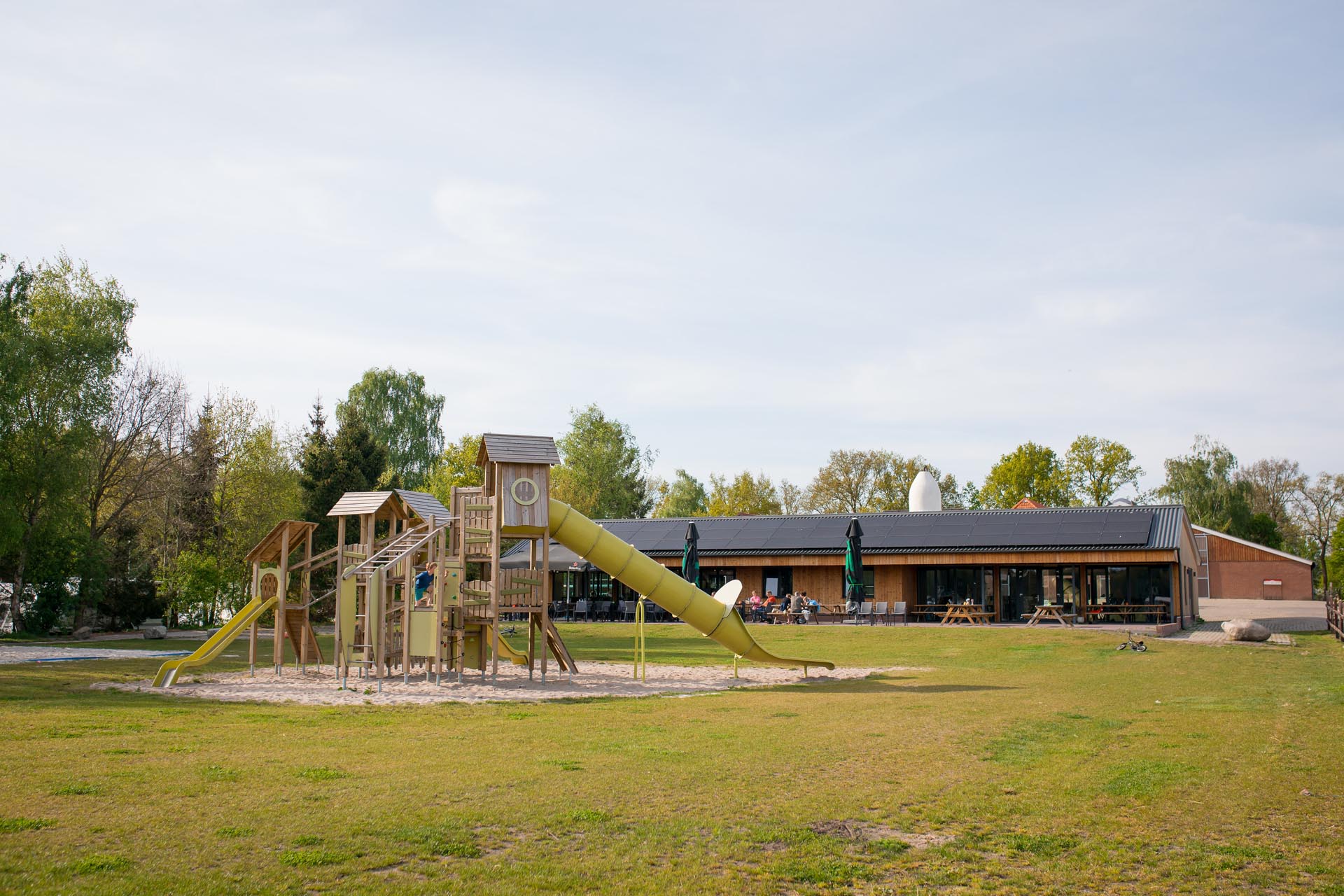 - image: 25