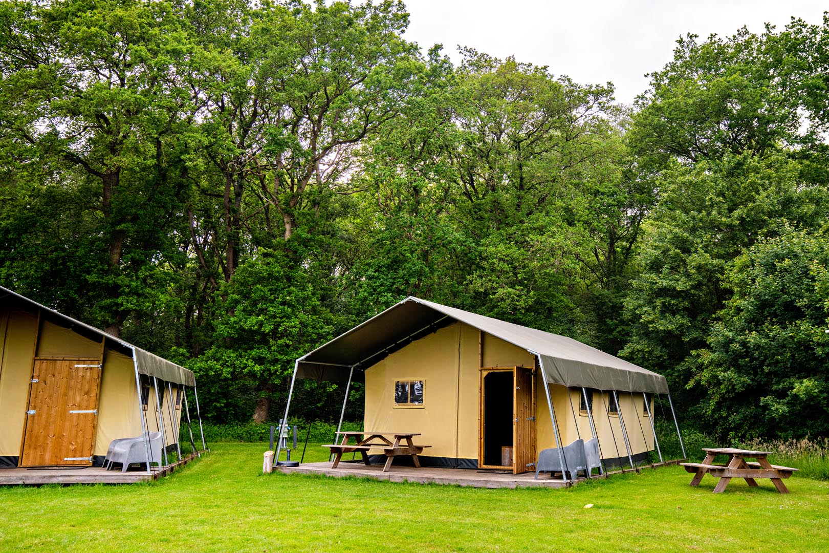 Natuurhuisje in Oldewoltholde