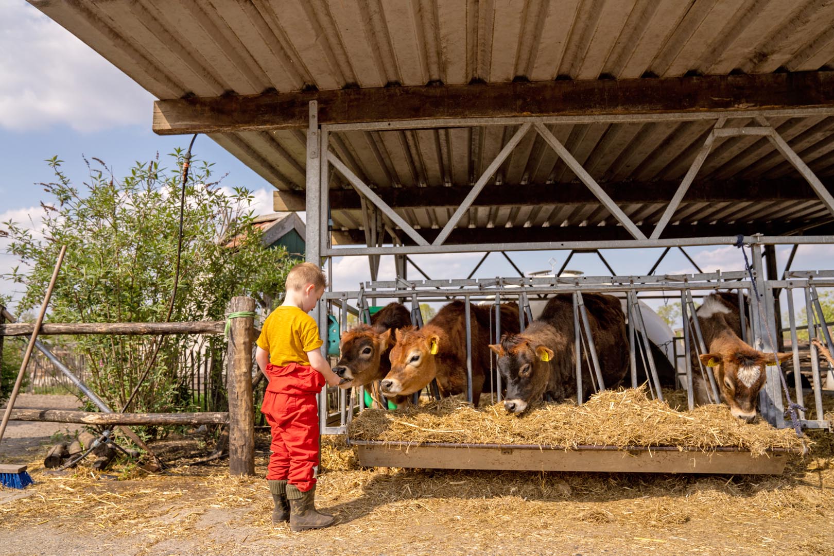 Casa nella natura a Beringe