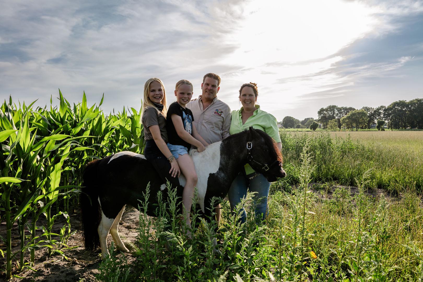 - image: 23