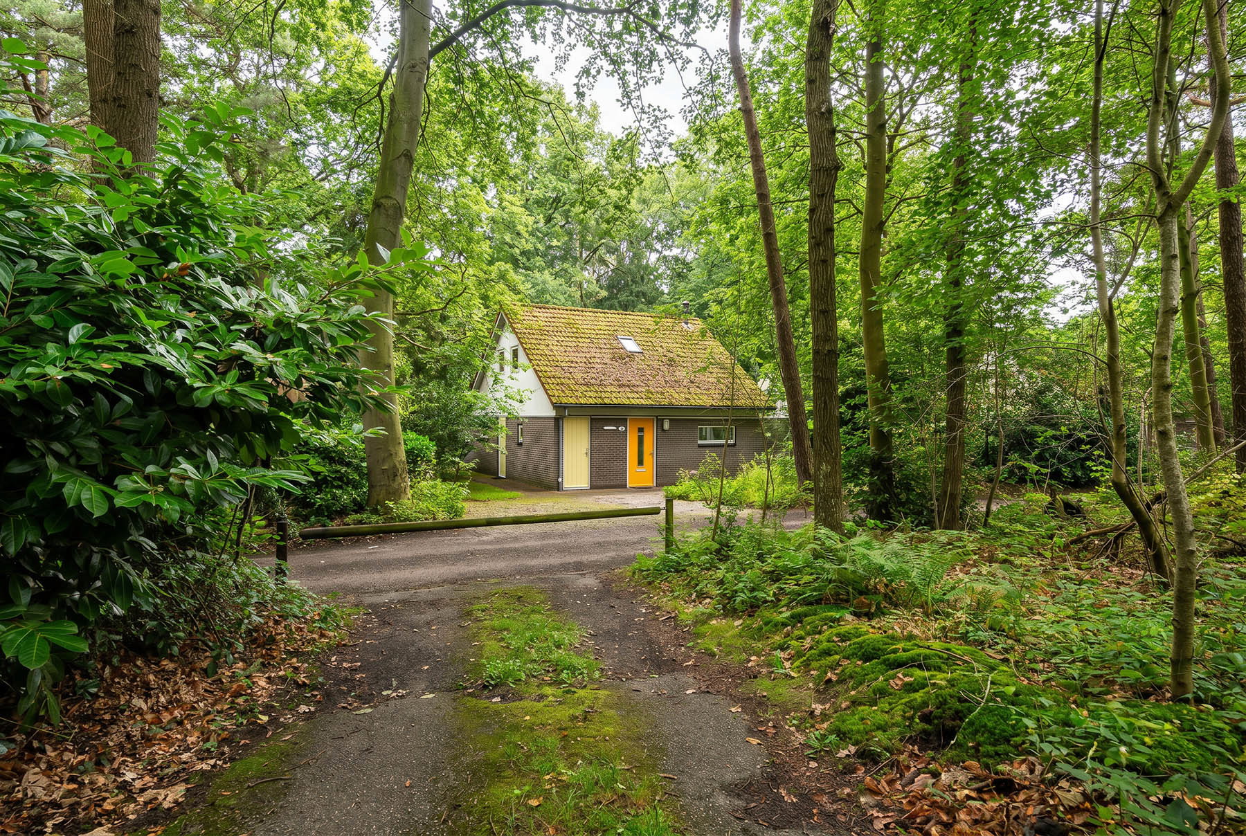 Casa nella natura a Oudemirdum