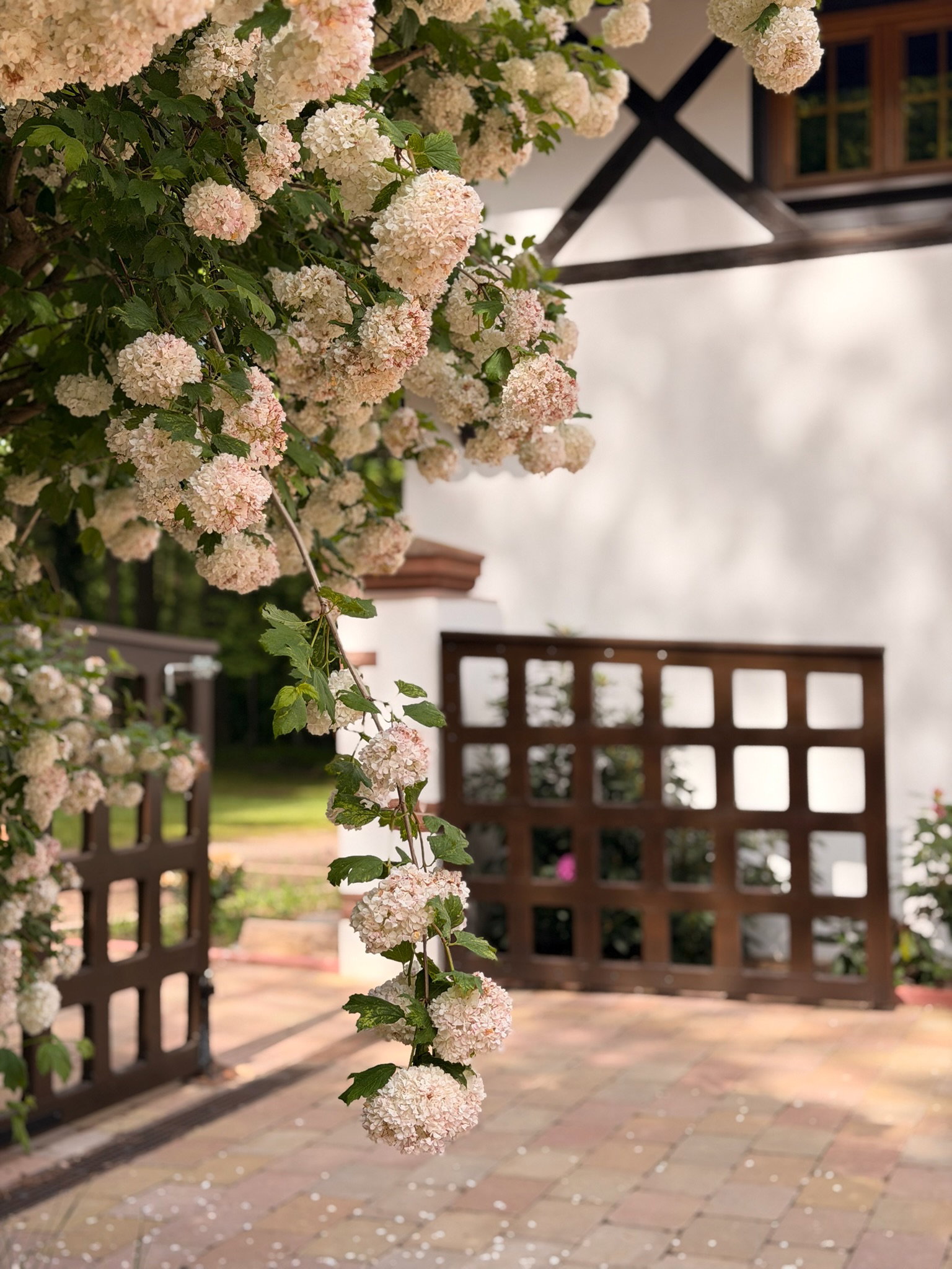 Casa nella natura a Dambach