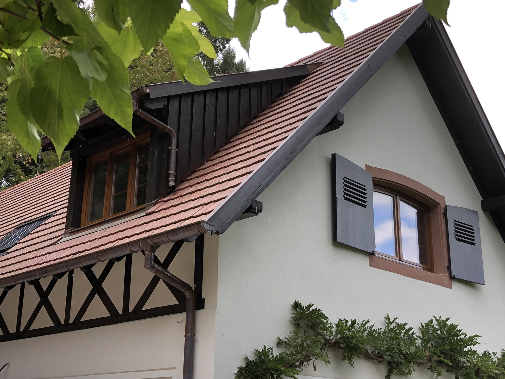 Casa nella natura a Dambach