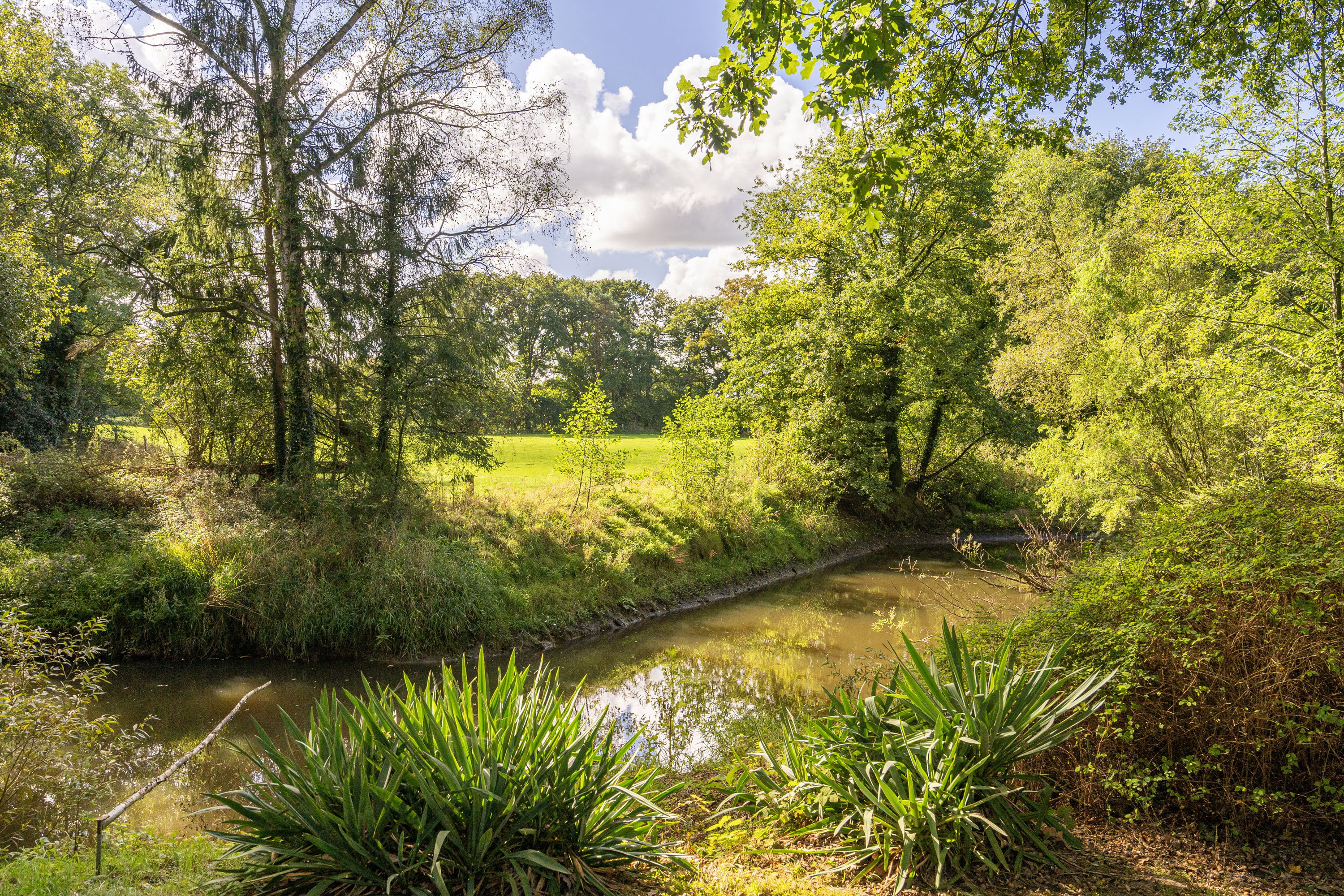 Casa nella natura a Beuningen