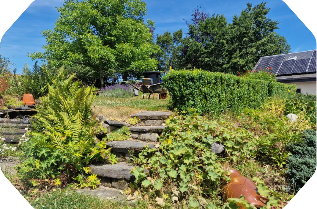 Casa nella natura a Sprimont