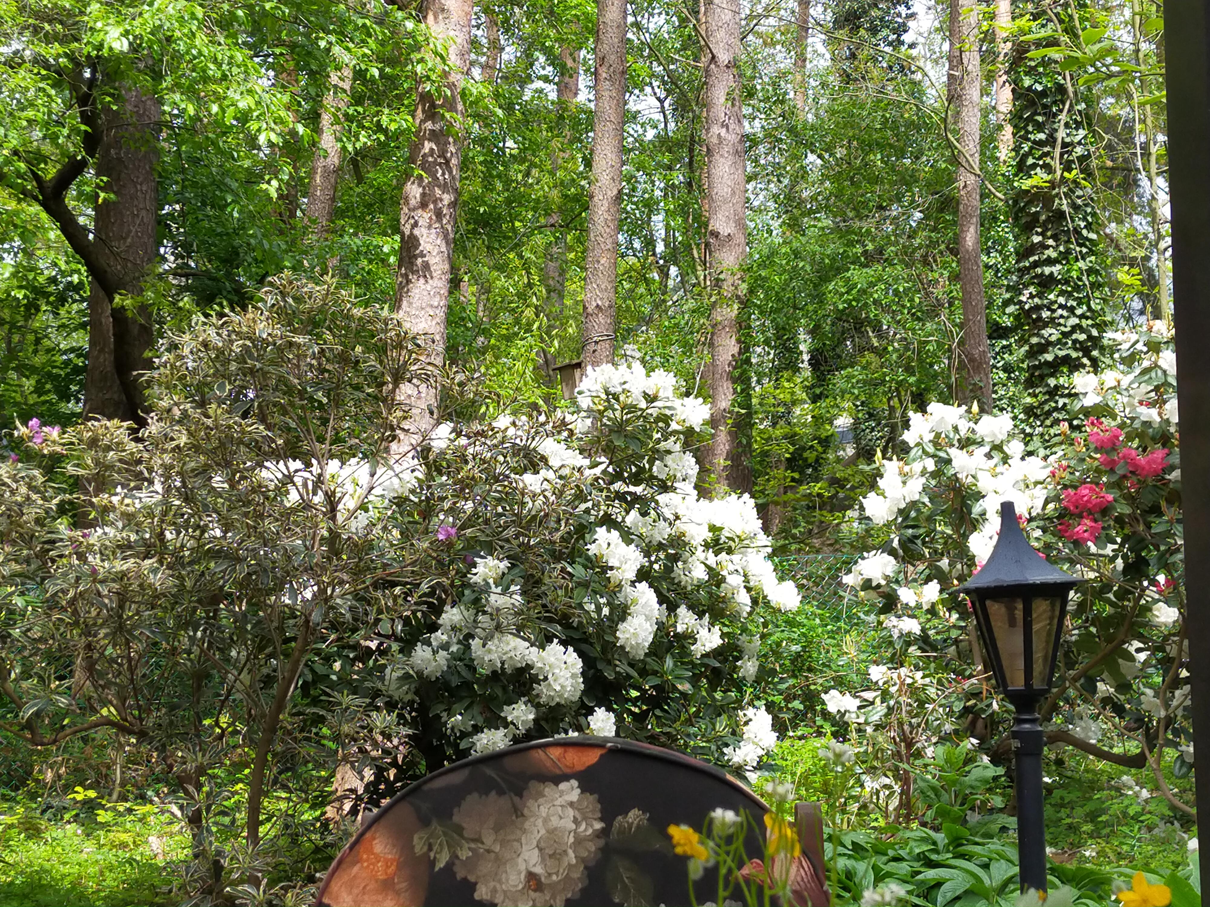 - image: 29