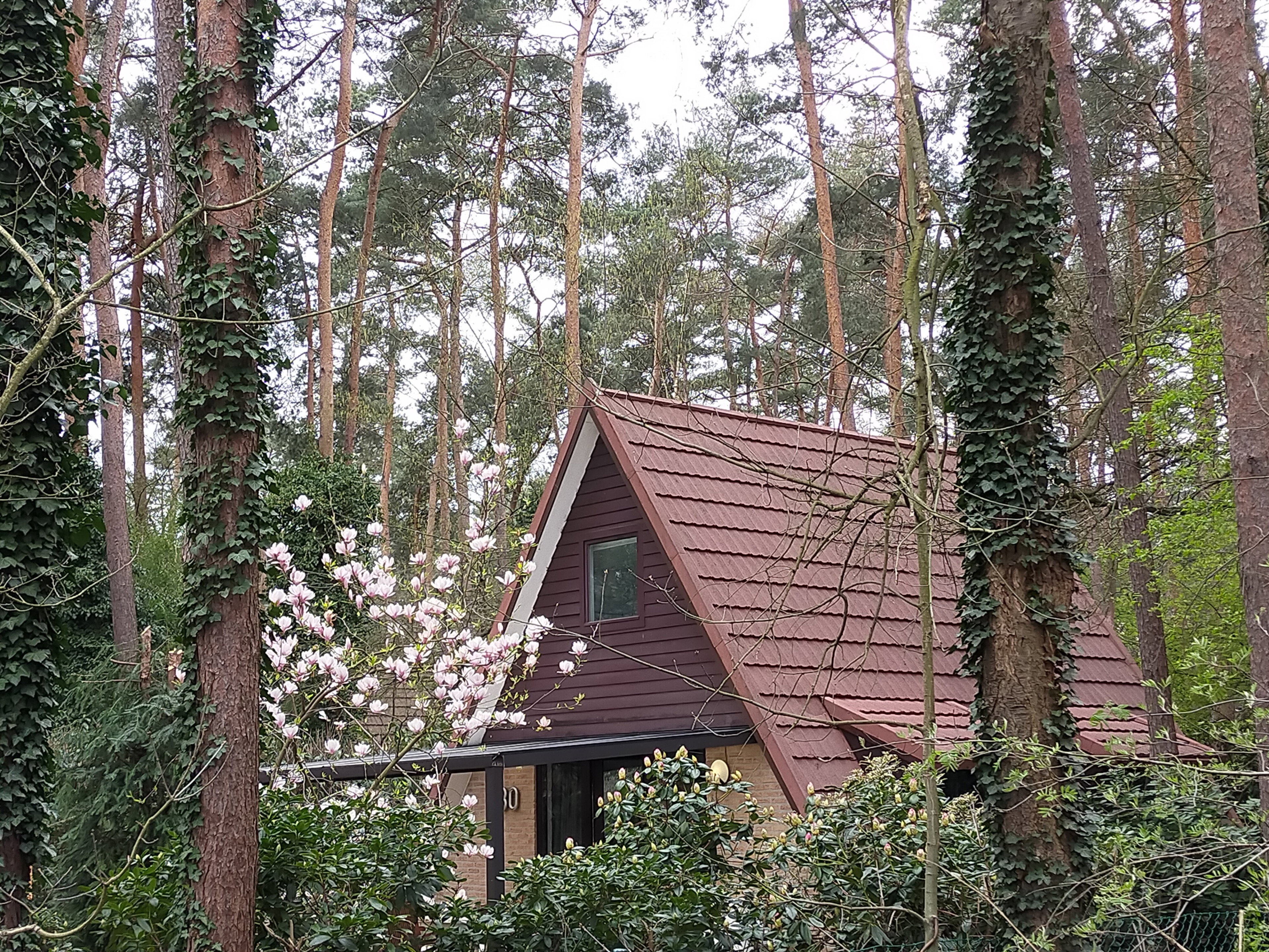 Natuurhuisje in Rekem