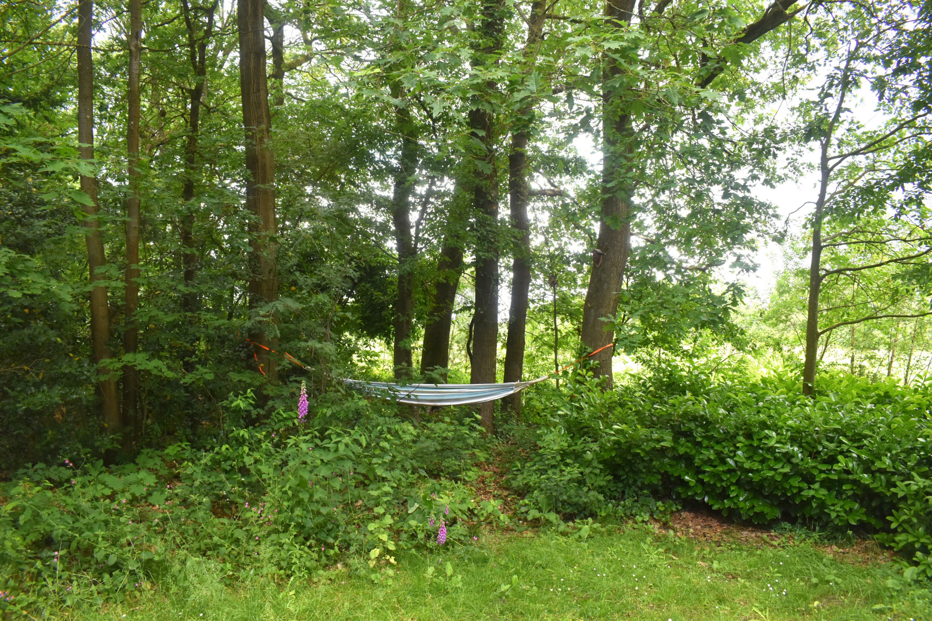 Natuurhuisje in Winterswijk