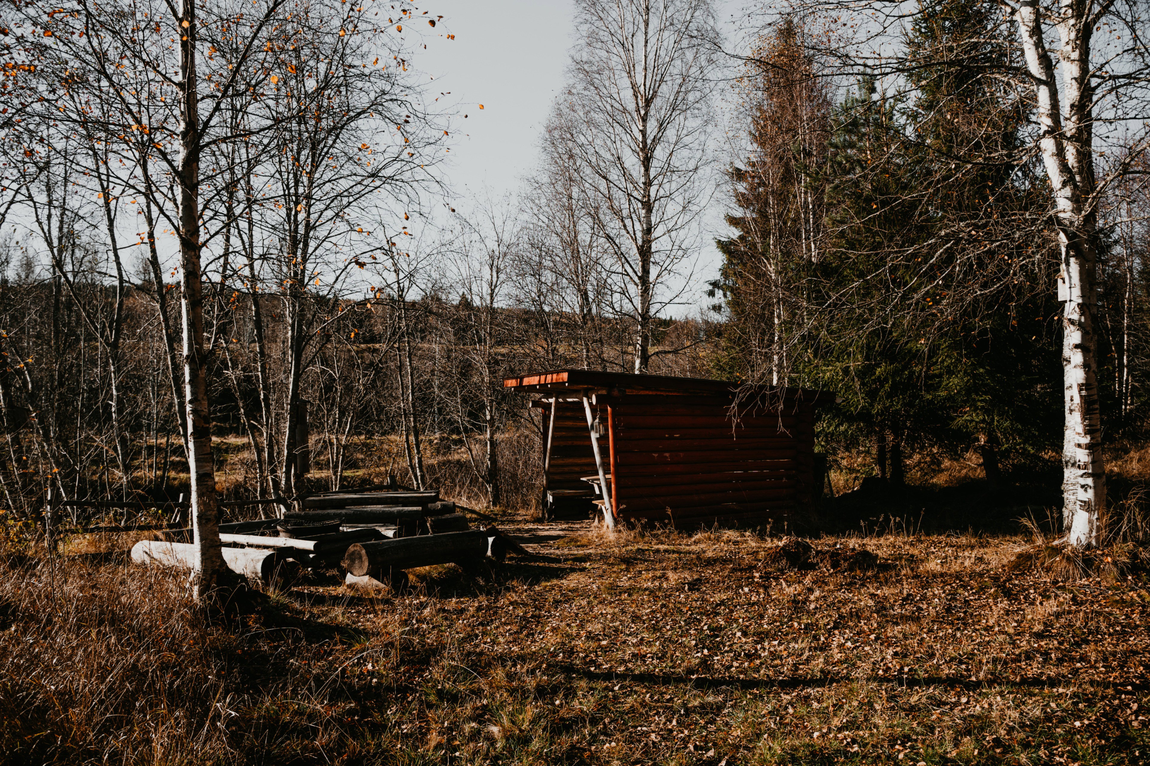 - image: 26