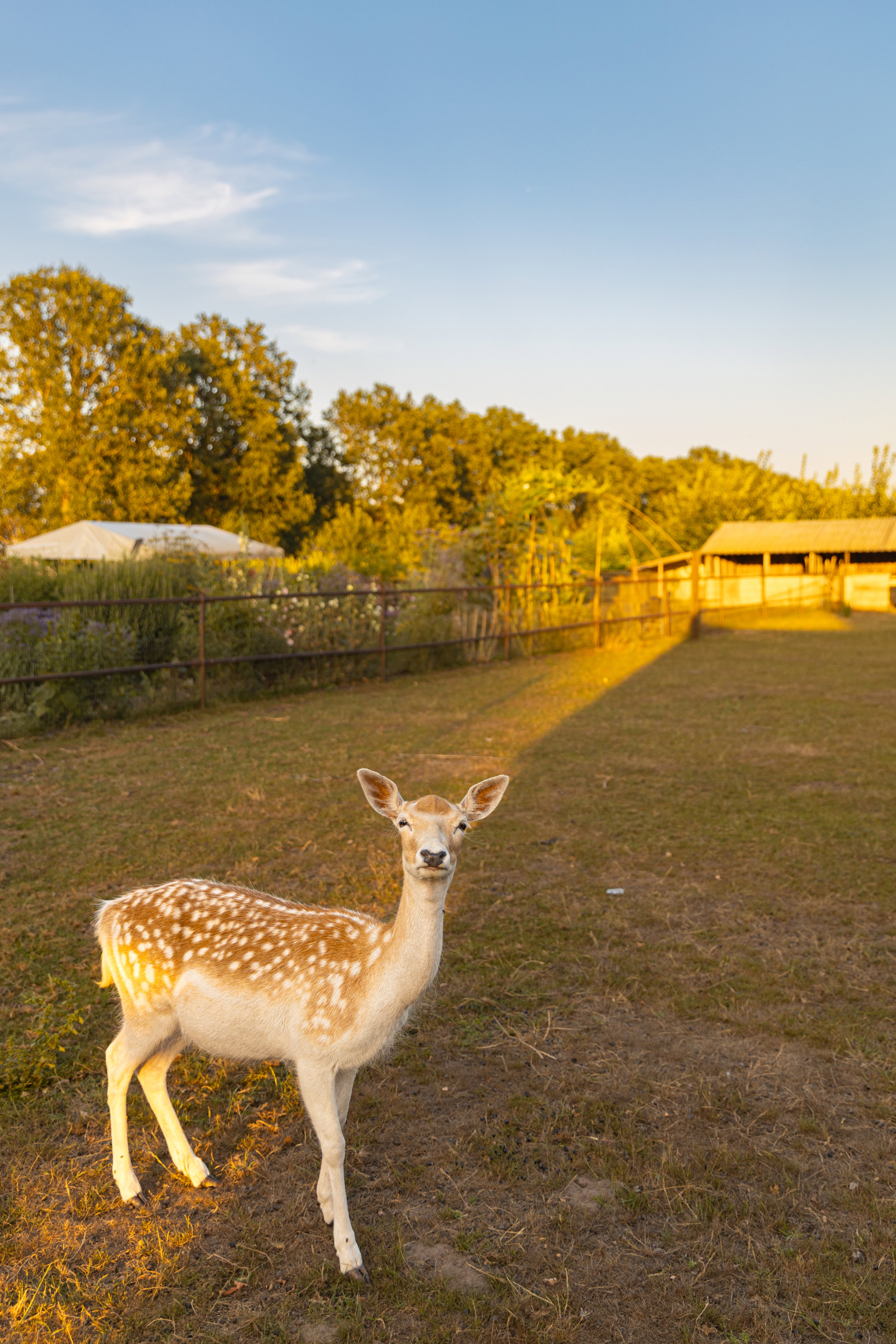 Natuurhuisje in Ospel