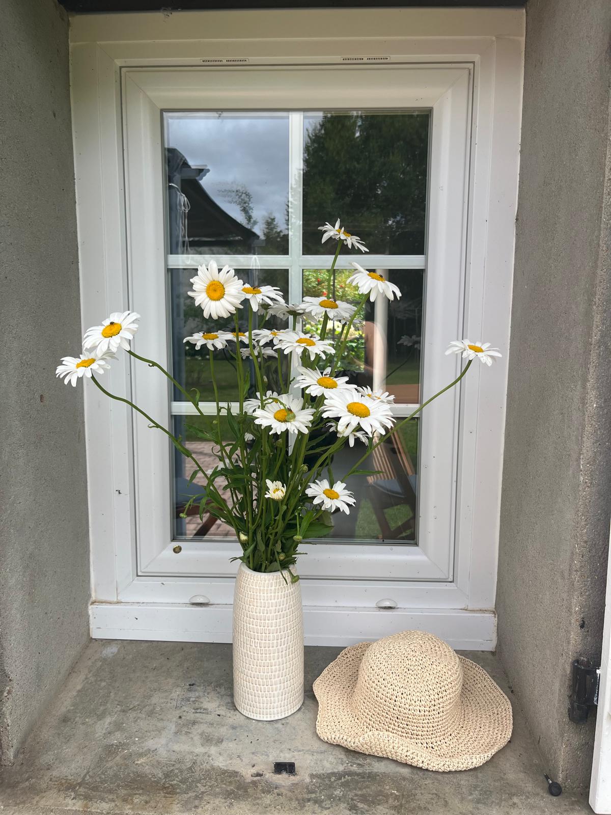 Maison nature à Ollé