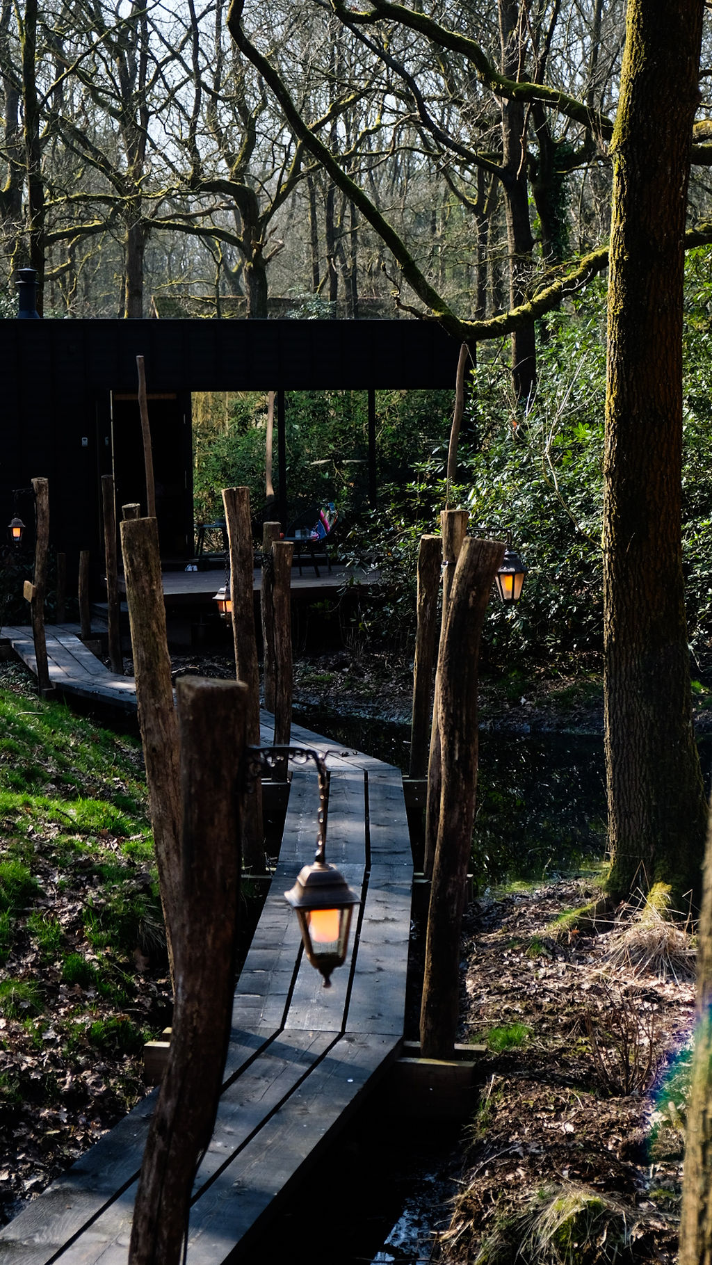 - image: 24