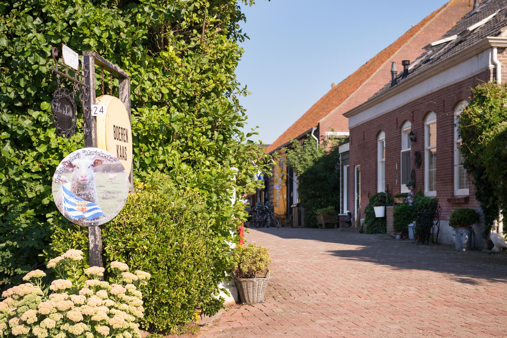 - image: 23