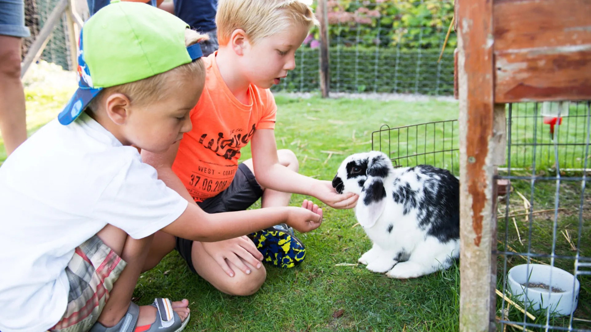 Natuurhuisje in Arnemuiden