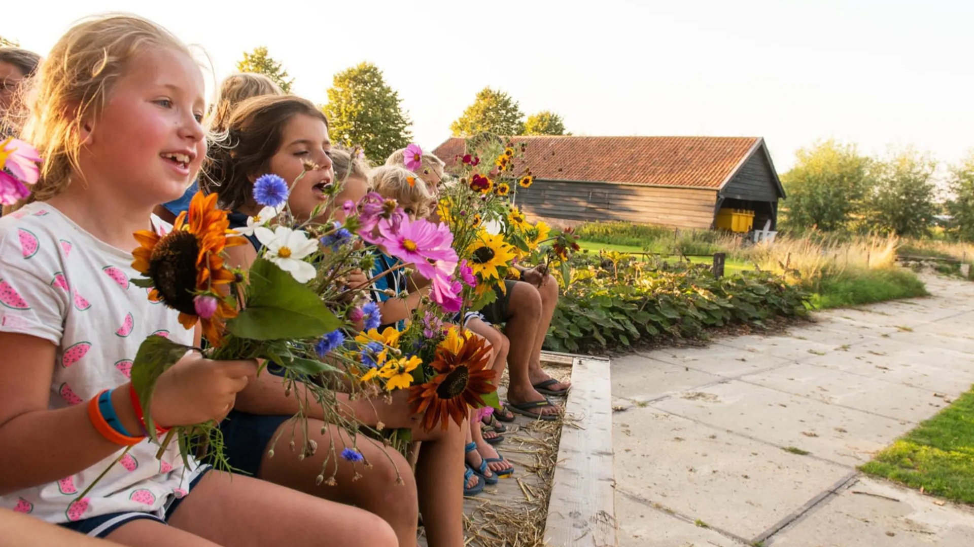 Natuurhuisje in Arnemuiden