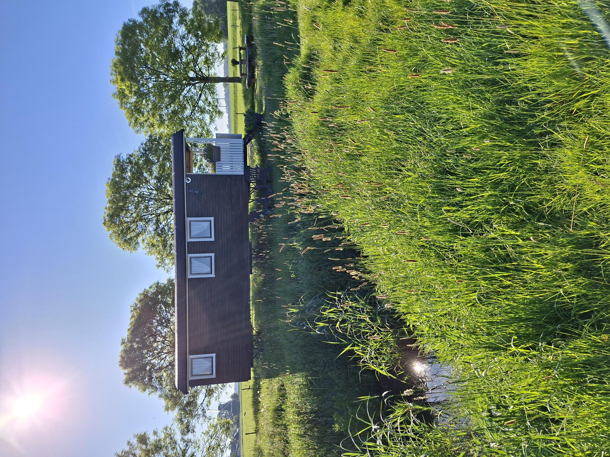Natuurhuisje in Westerwijtwerd