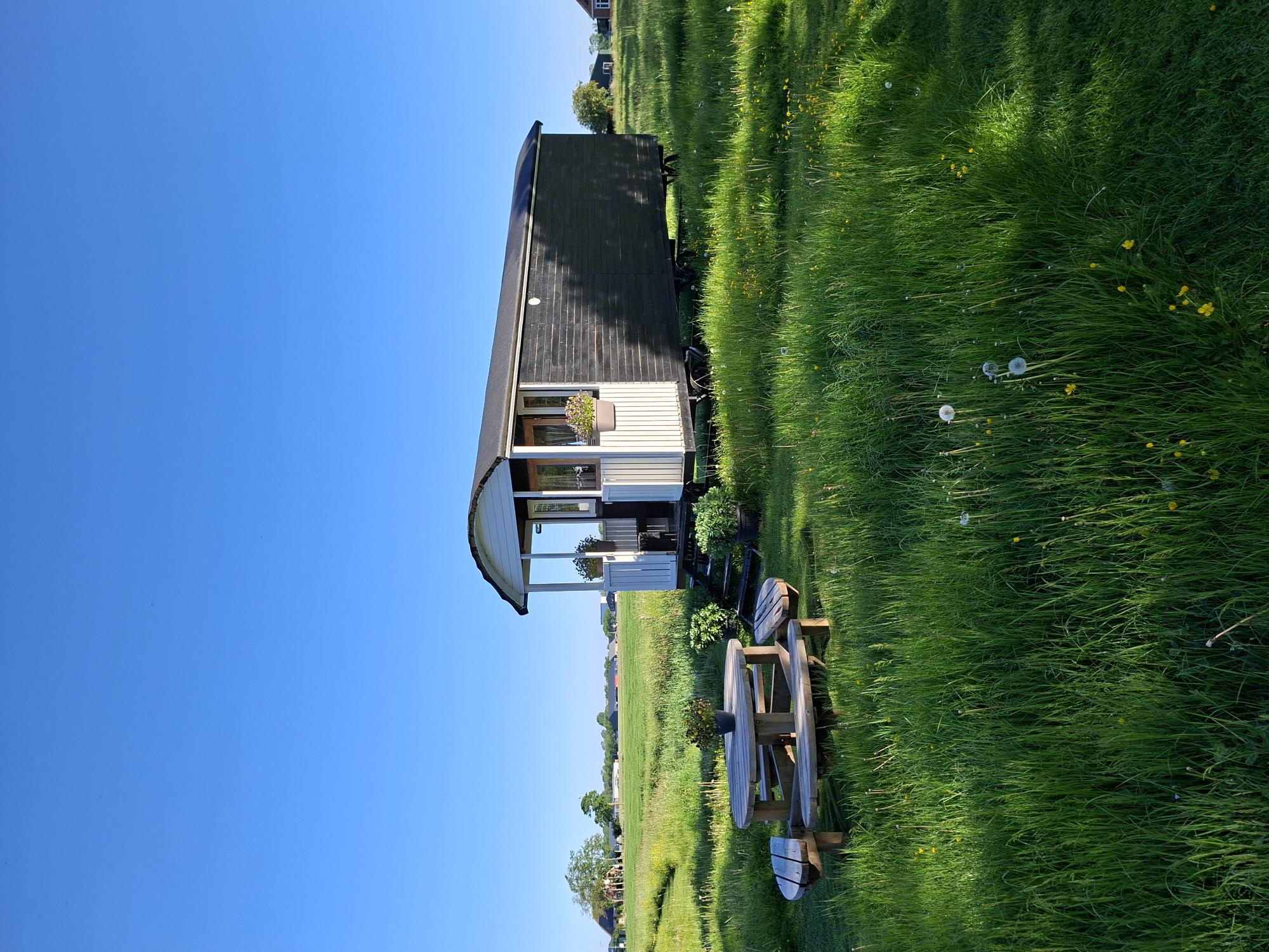 Natuurhuisje in Westerwijtwerd