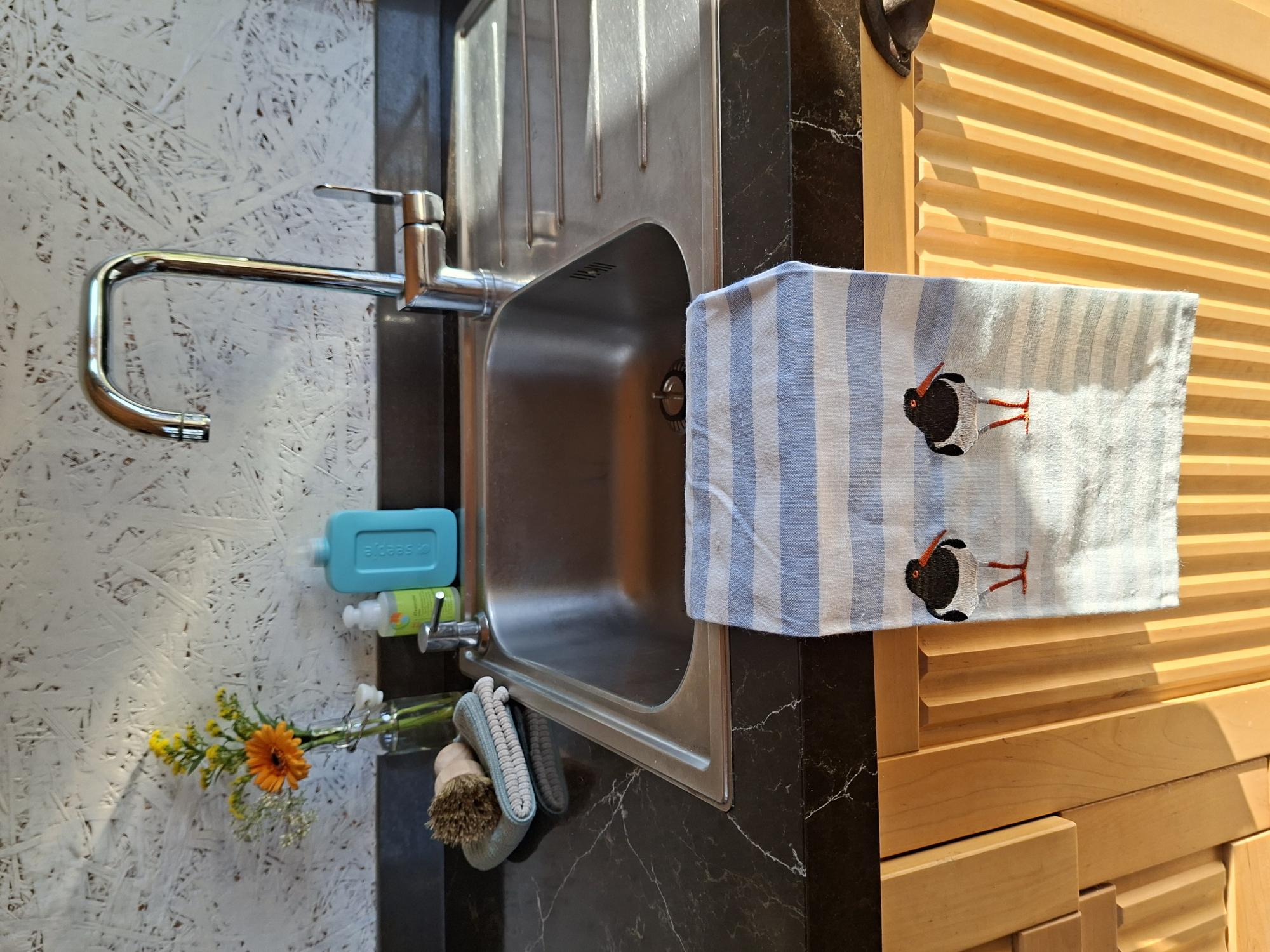 Natuurhuisje in Westerwijtwerd