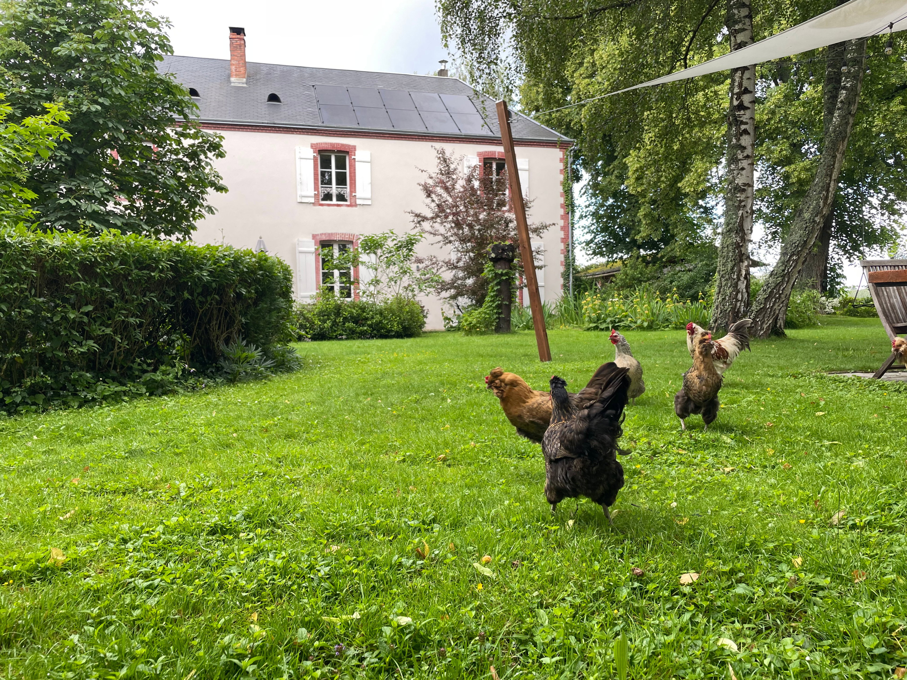 Maison nature à Moutier-Malcard