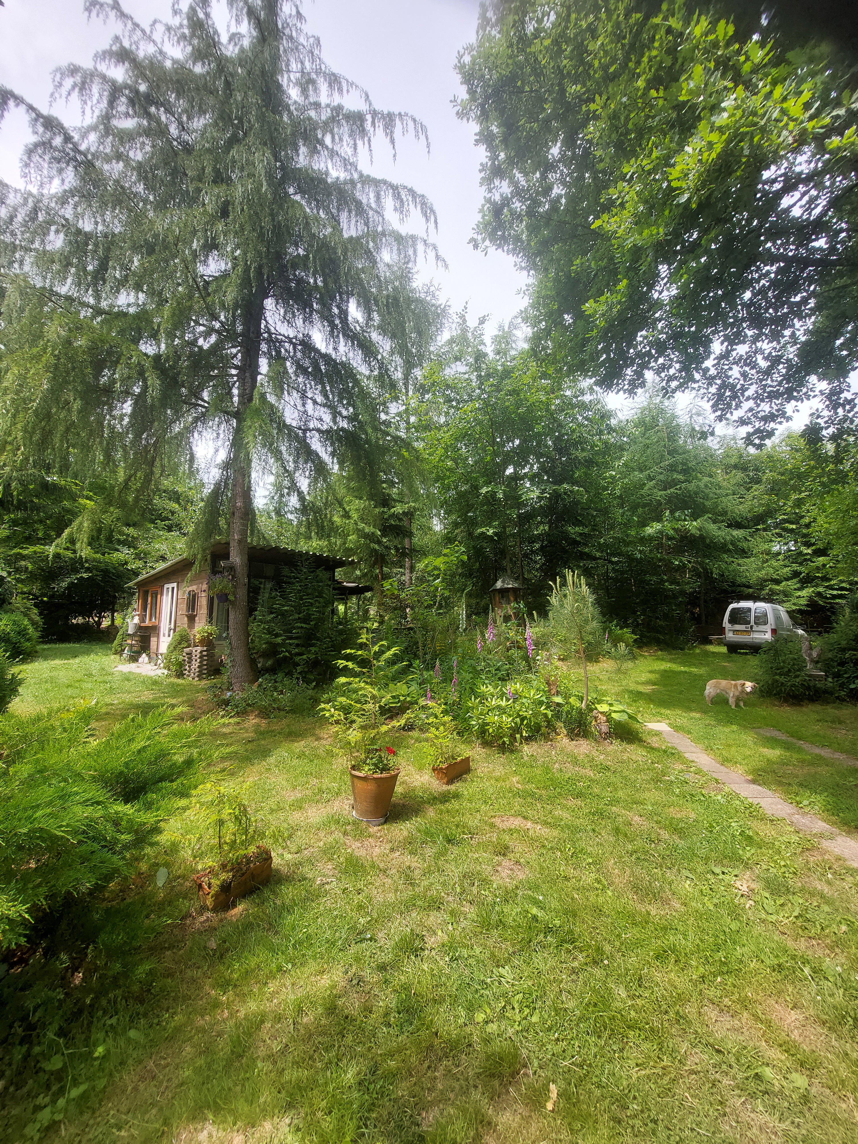 Casa nella natura a La Roche en ardenne