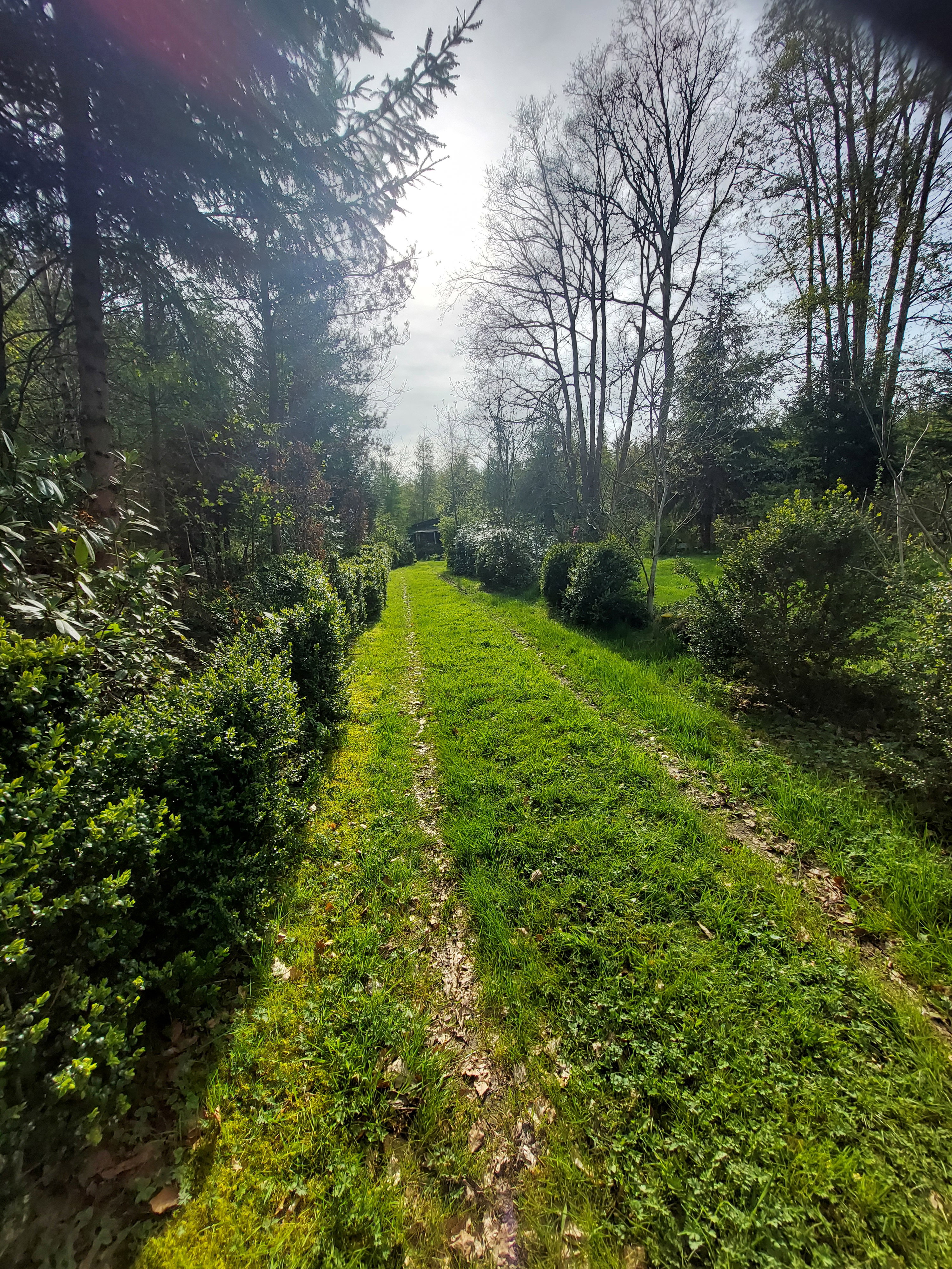Casa nella natura a La Roche en ardenne