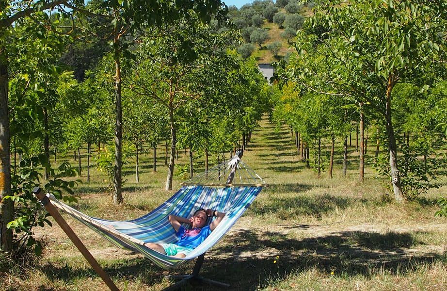 Casa nella natura a Bevagna