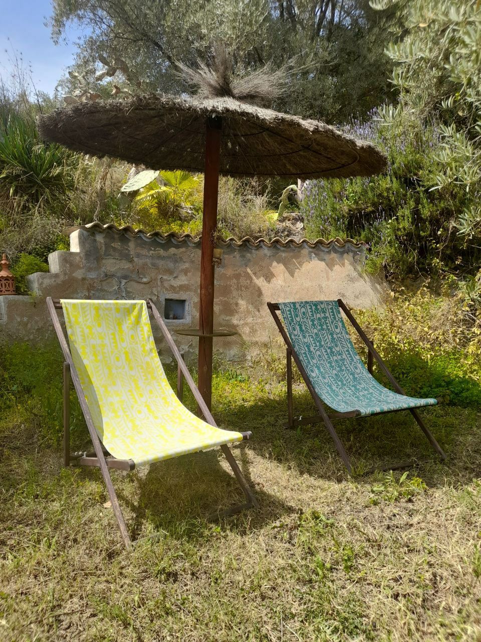 - image: 11