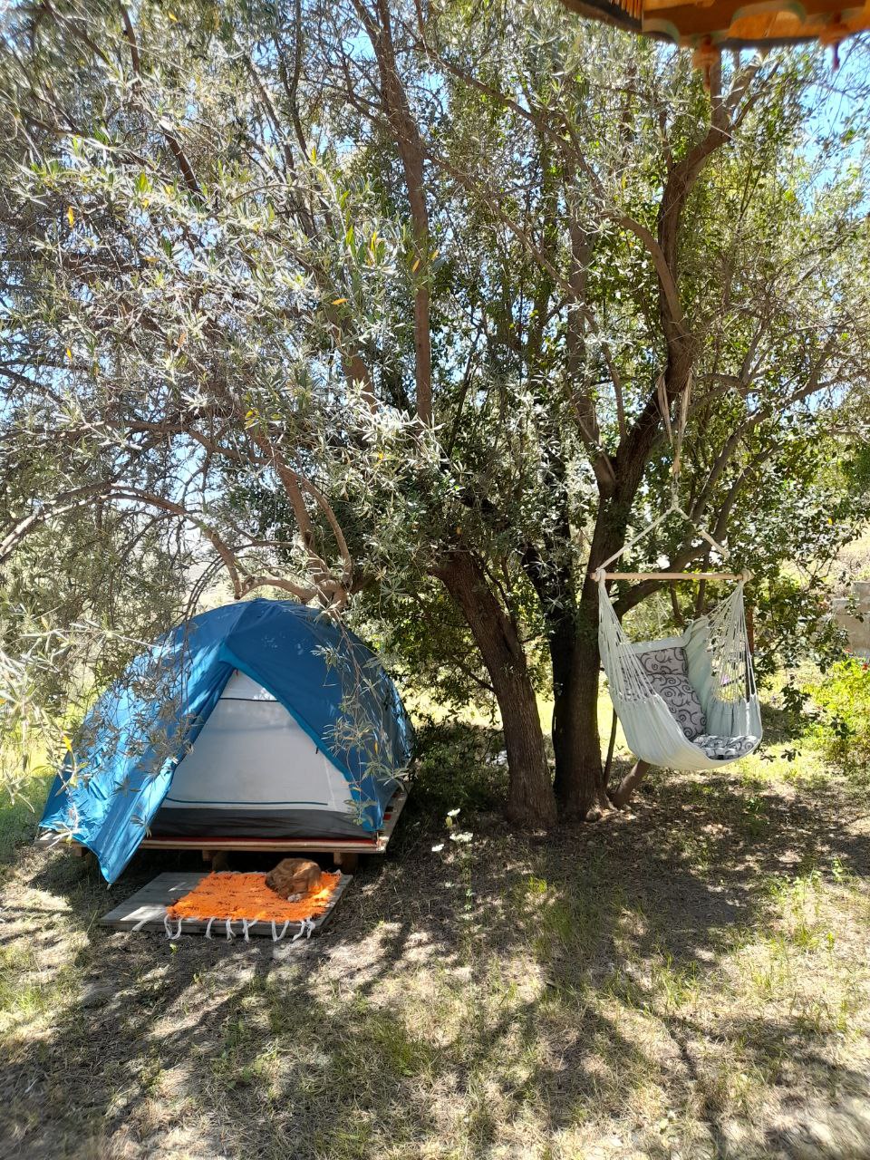 Natuurhuisje in Alpujarra de la Sierra