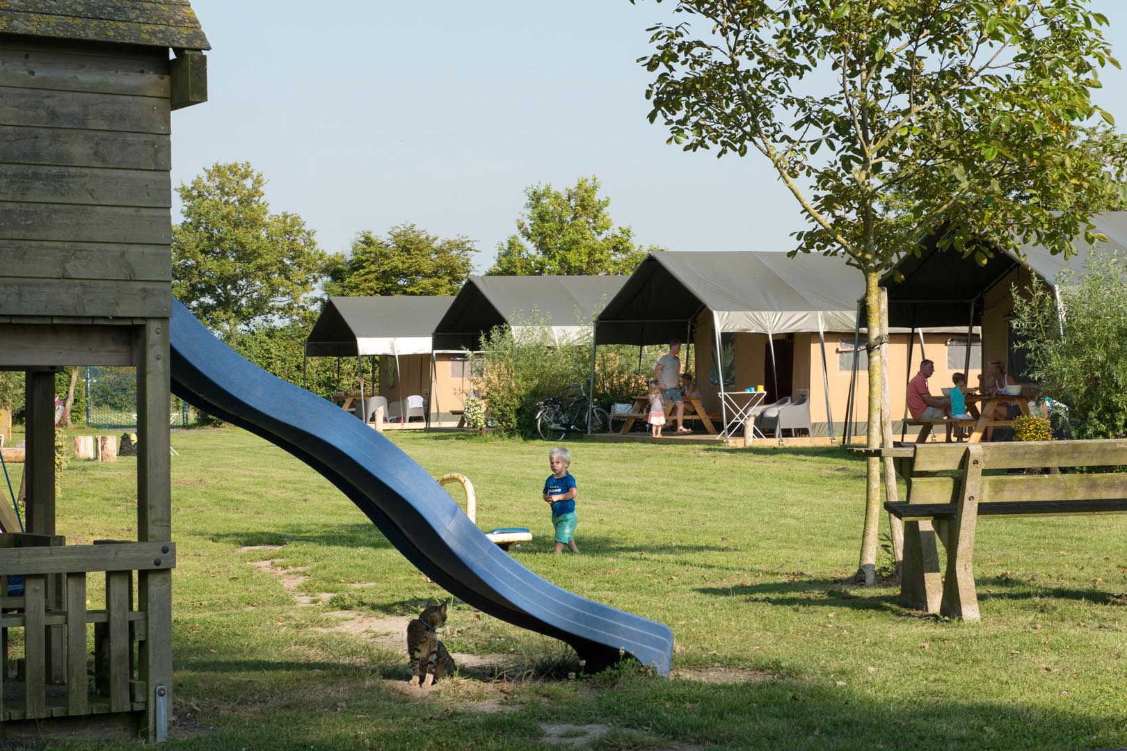 Natuurhuisje in Kamperland