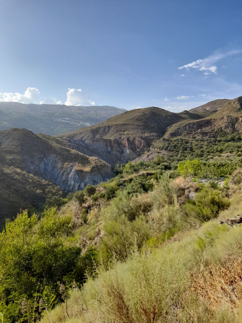 - image: 28