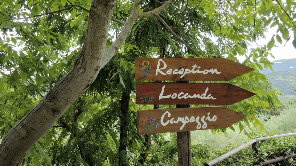 Casa nella natura a Montescudaio