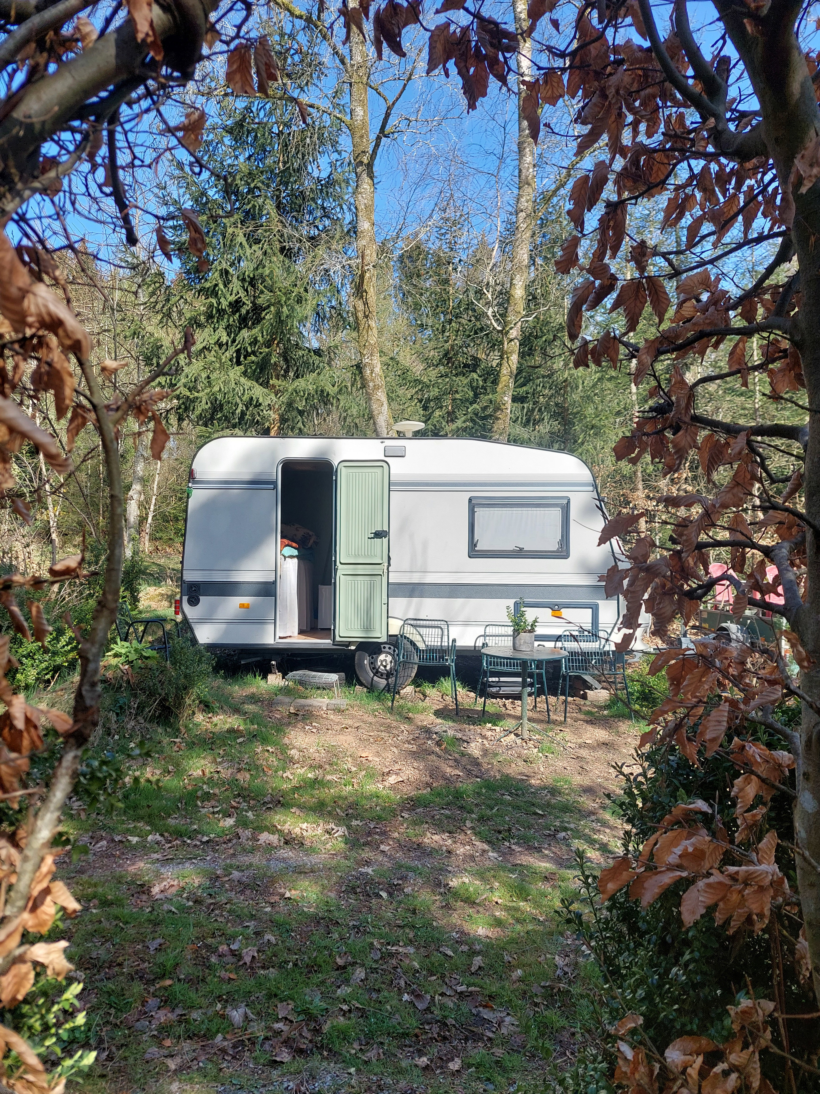 Natuurhuisje in La Roche en ardenne