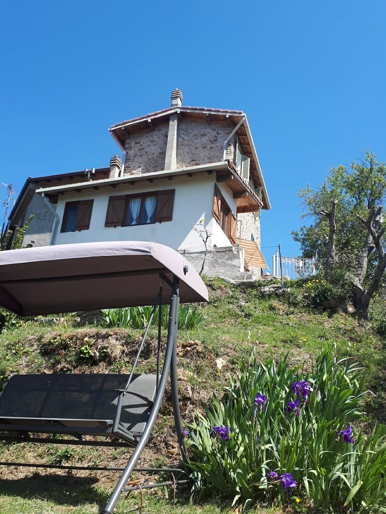 - image: 12