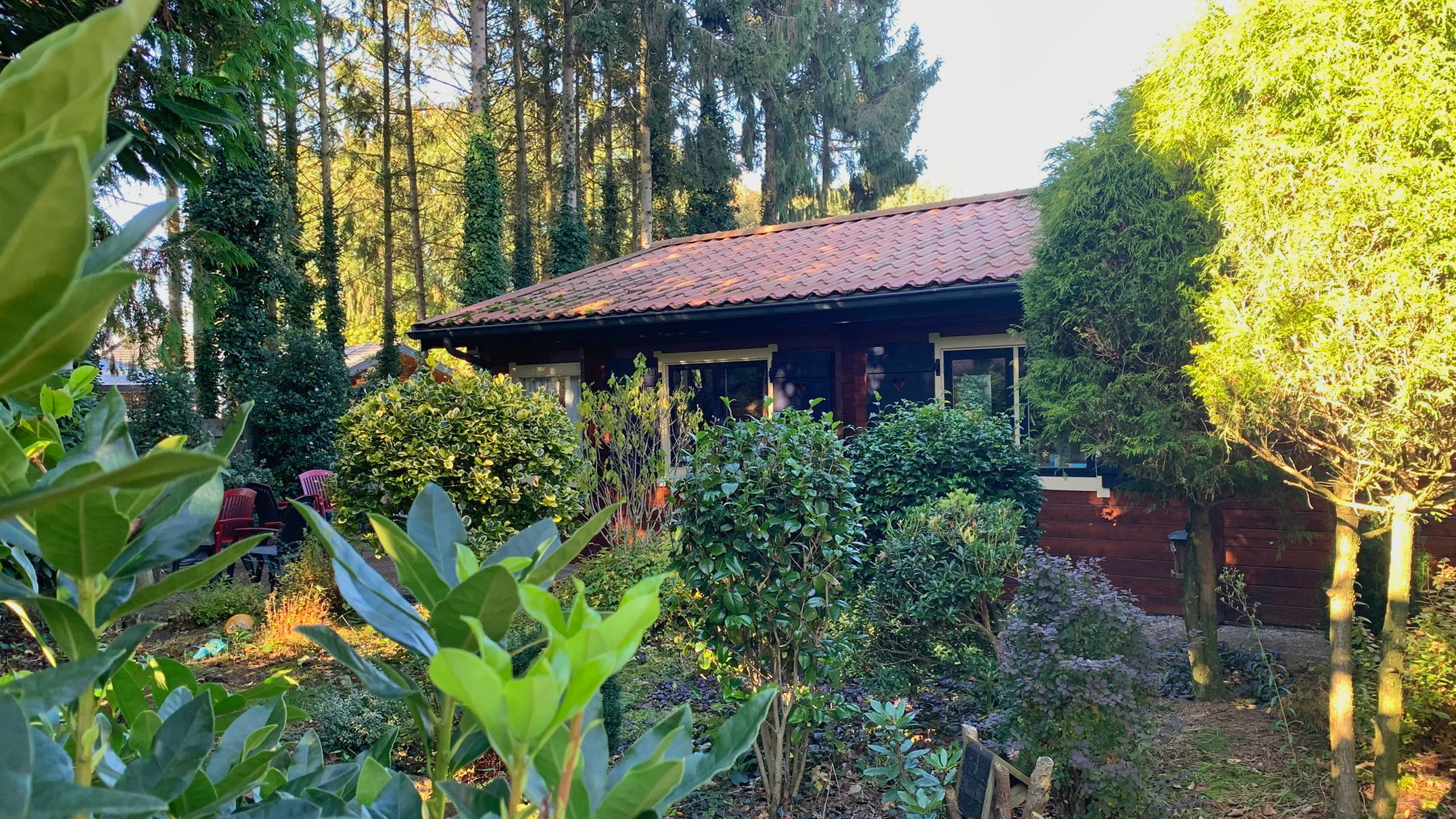 Natuurhuisje in Putten