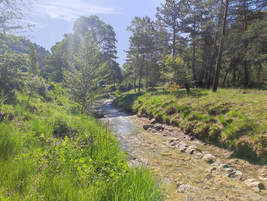 Natuurhuisje in Buis-les-Baronnies