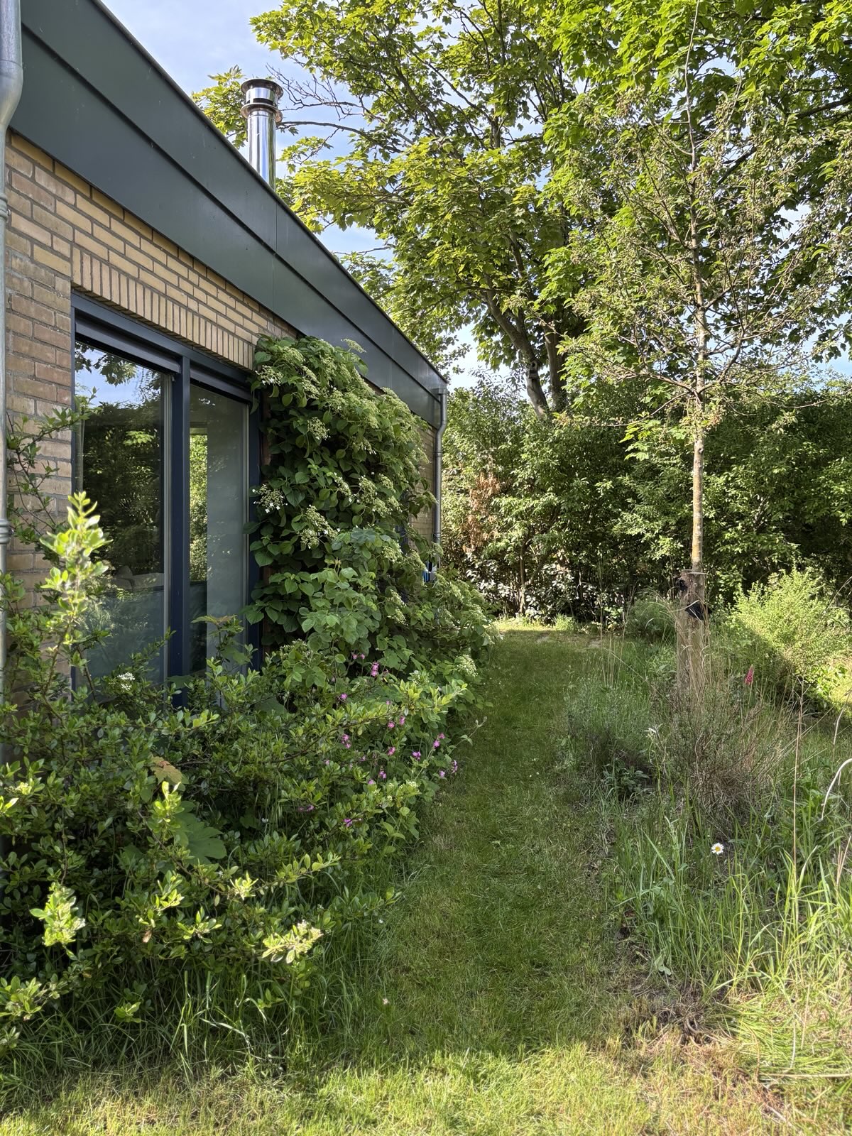 Casa nella natura a De Cocksdorp