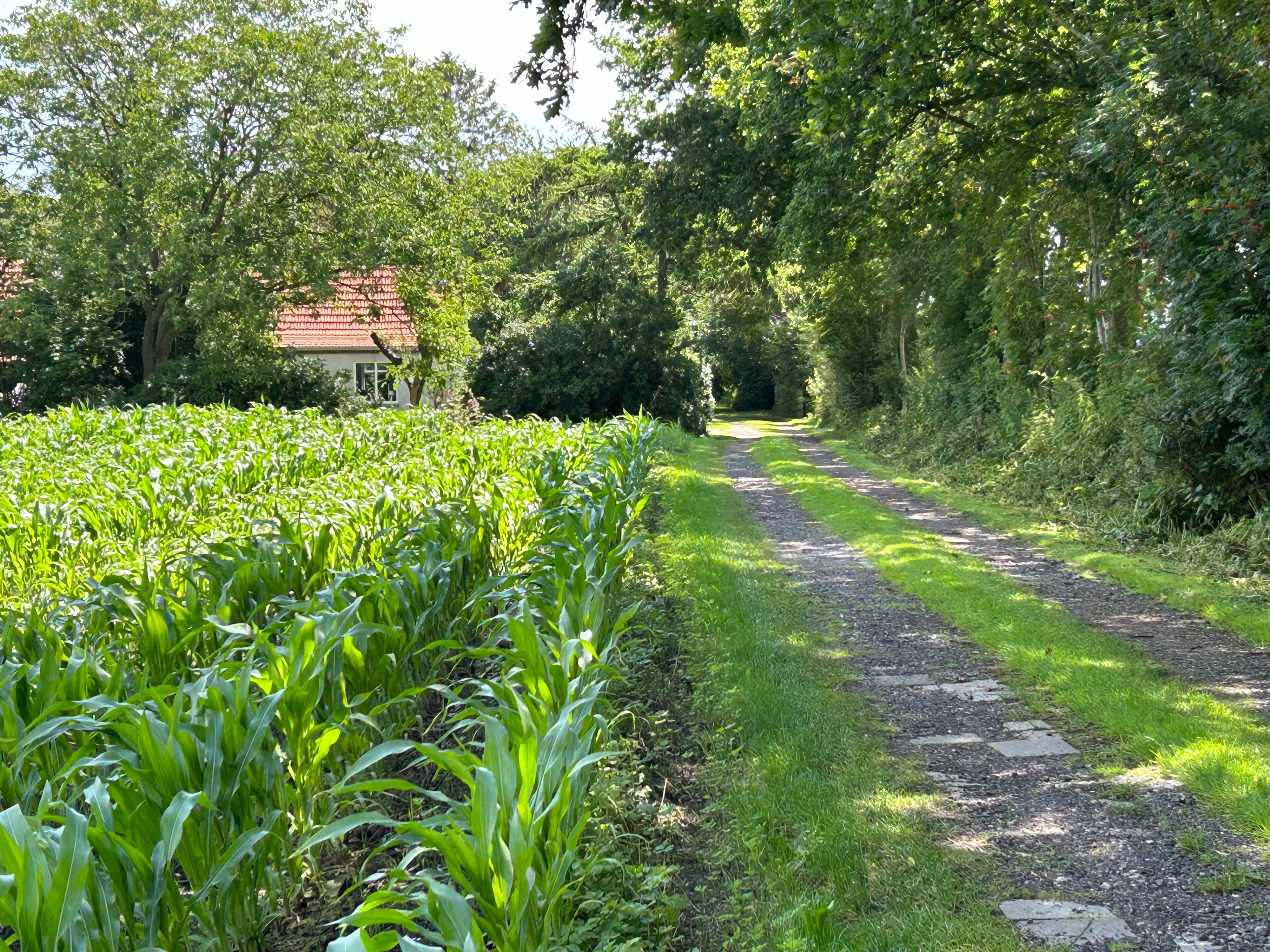 Natuurhuisje in Twijzel