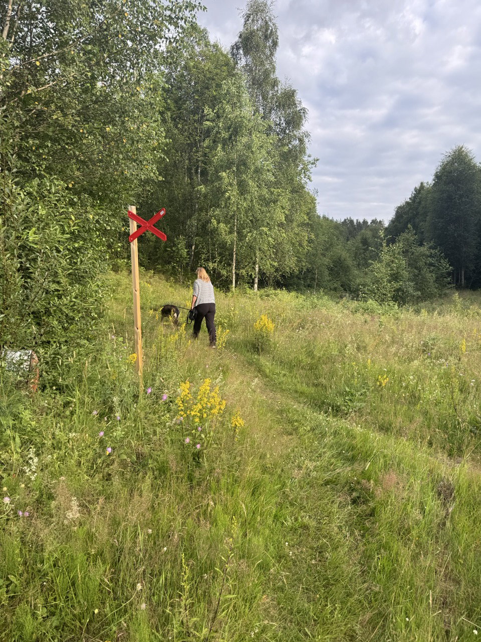 Natuurhuisje in Ambjörby