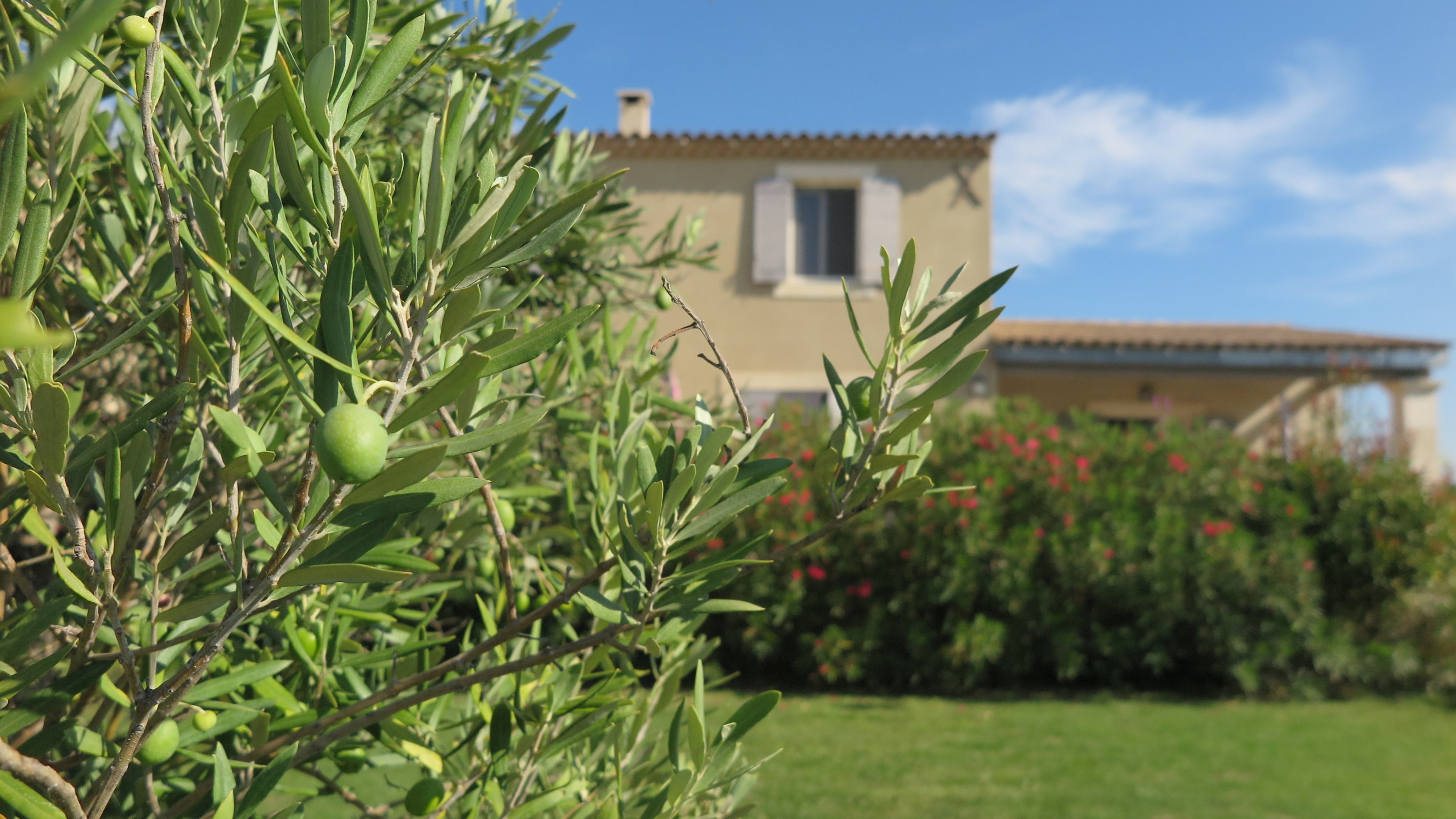 Casa nella natura a Cabrières d'Avignon