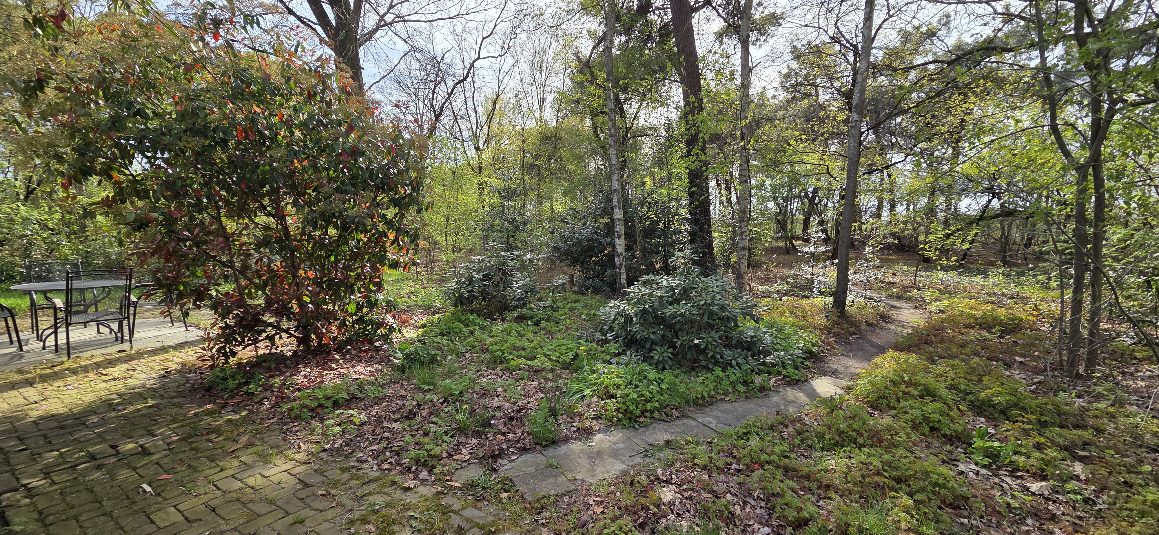 Nature house in Venhorst