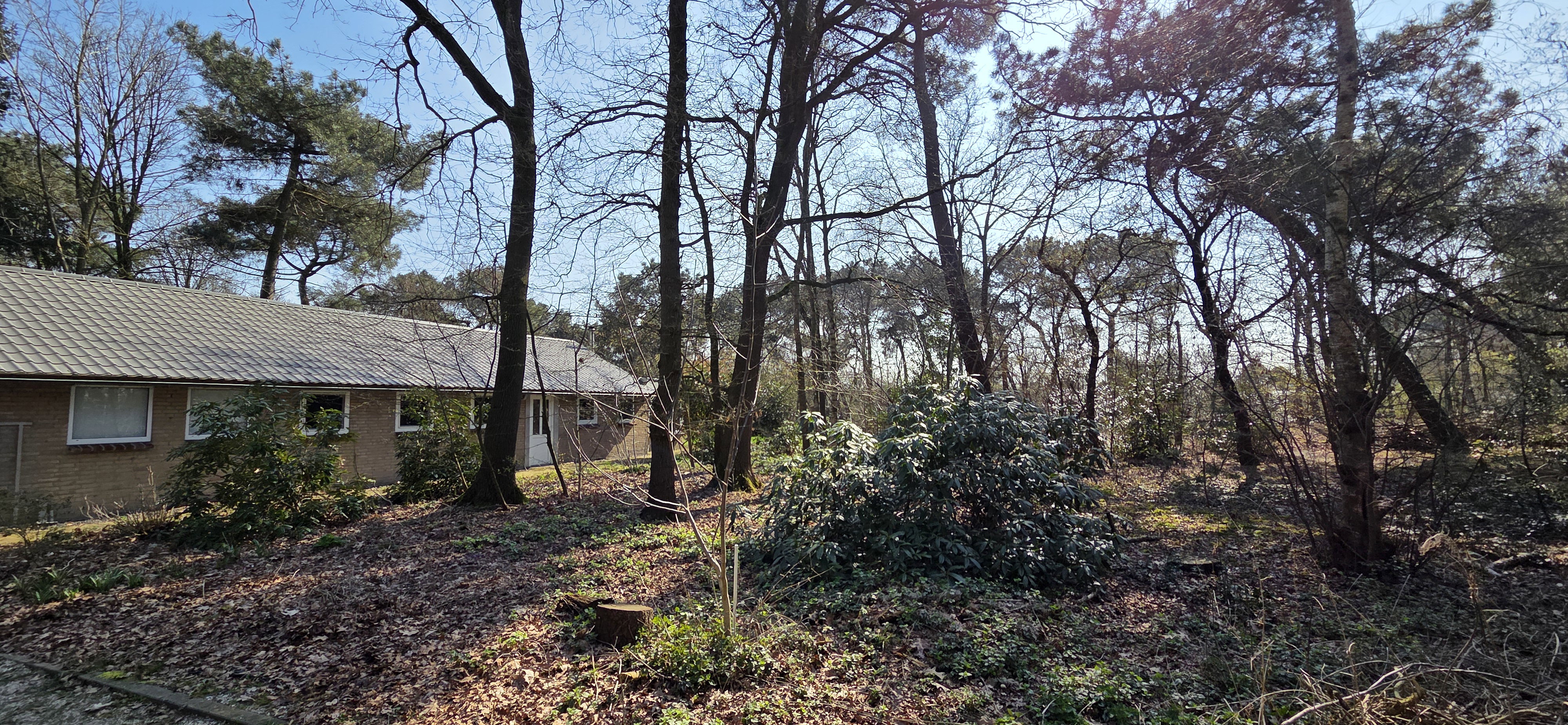 Nature house in Venhorst