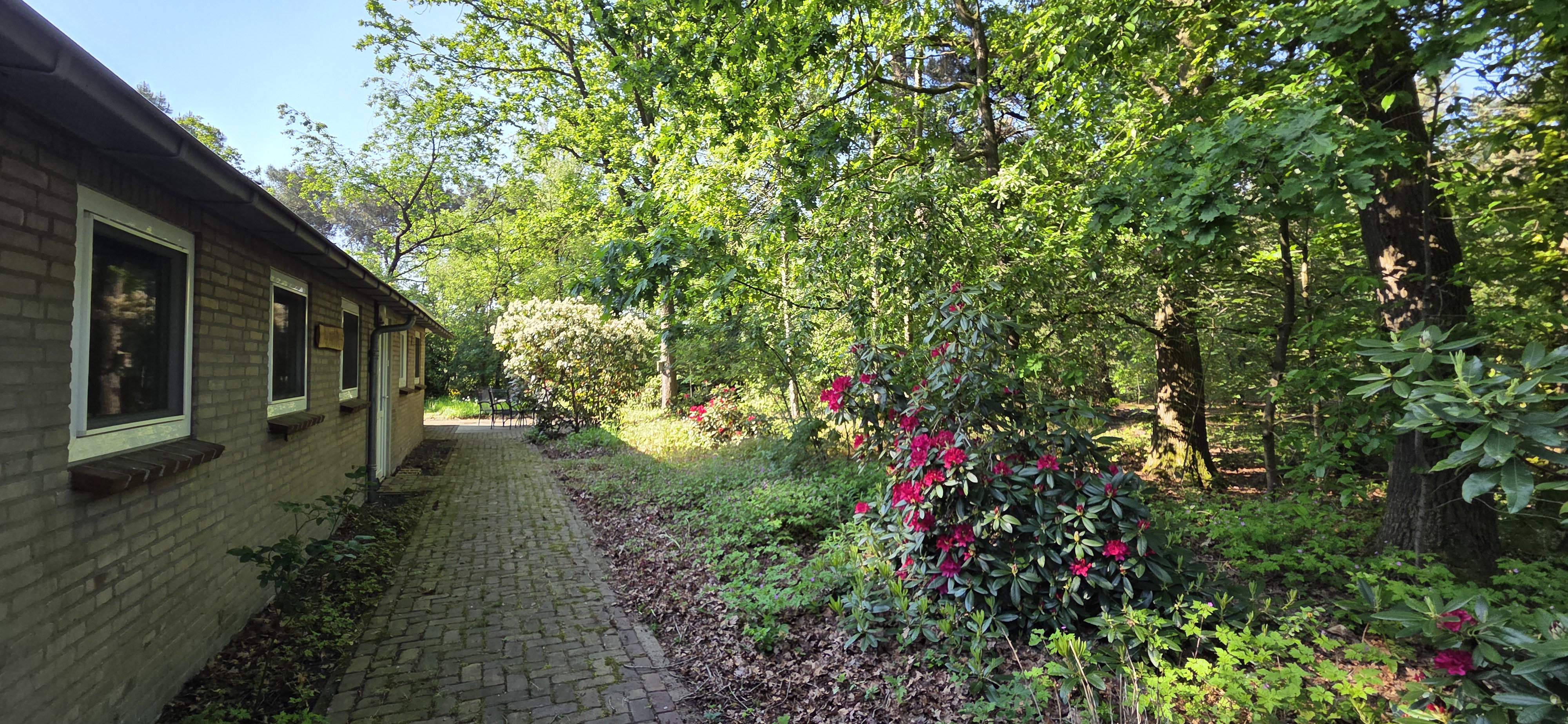 Nature house in Venhorst