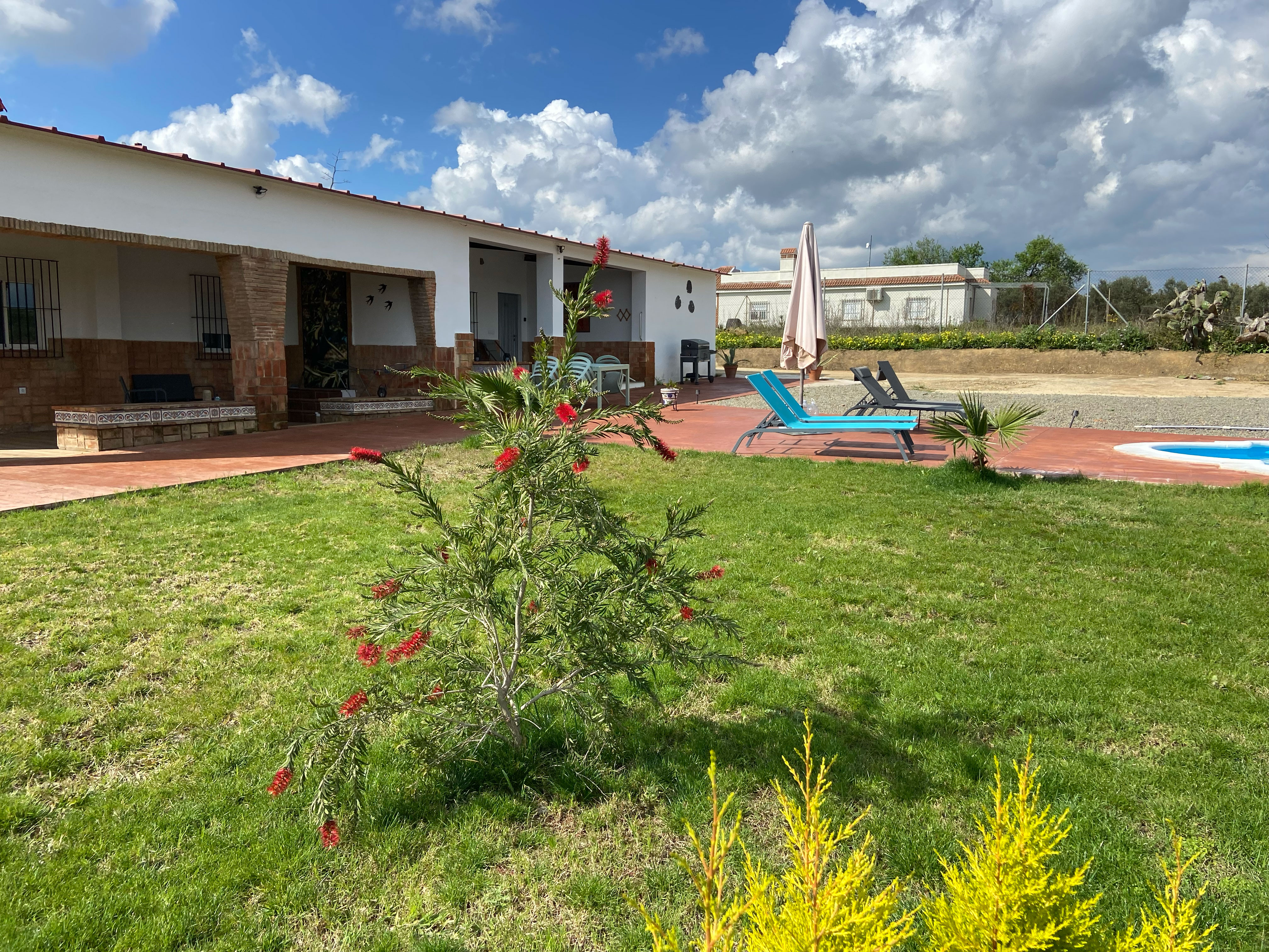 Nature house in Beas