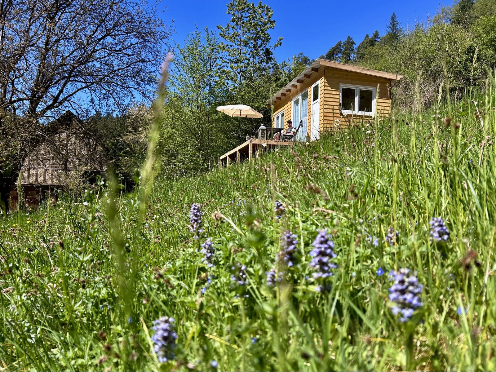 Casa nella natura a Mörsdorf