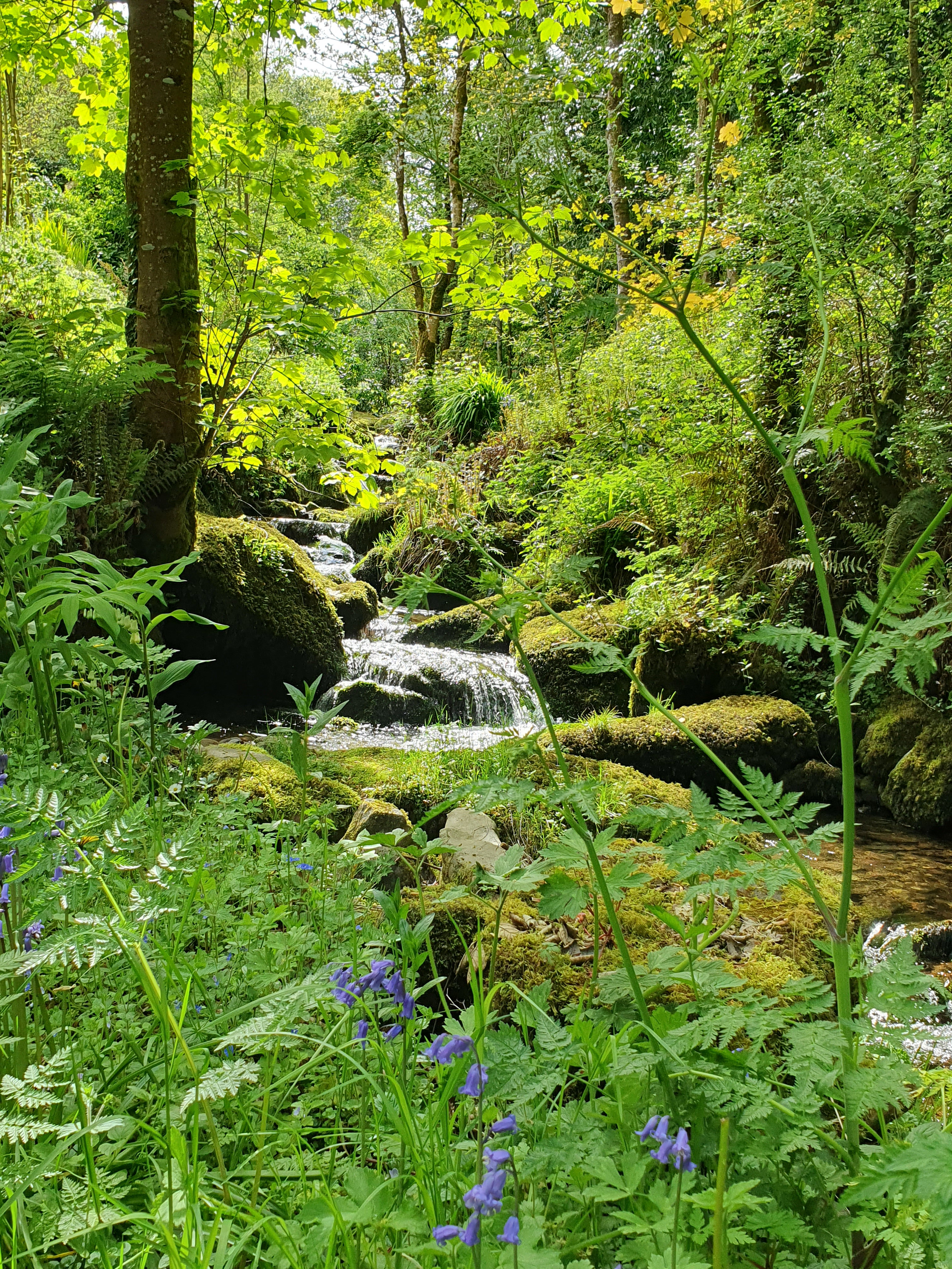 Casa nella natura a Carrick-on-Suir