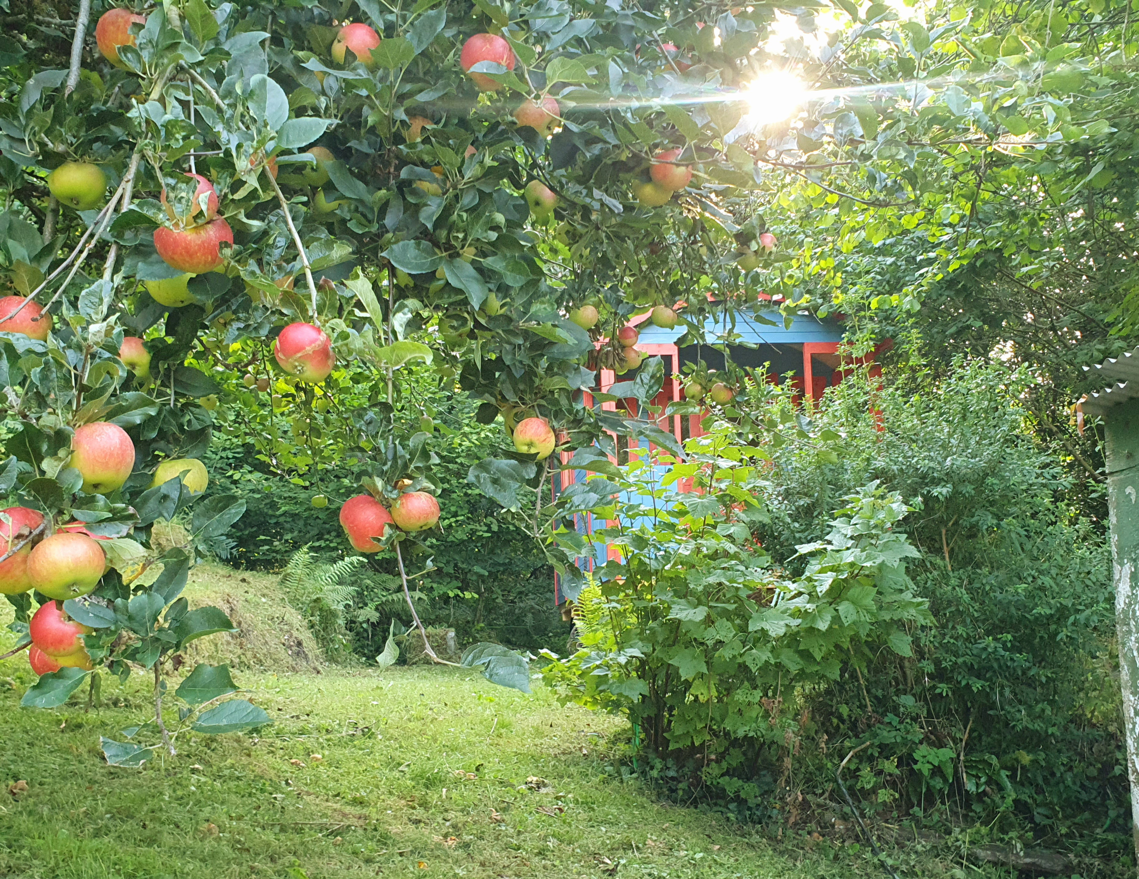 - image: 29