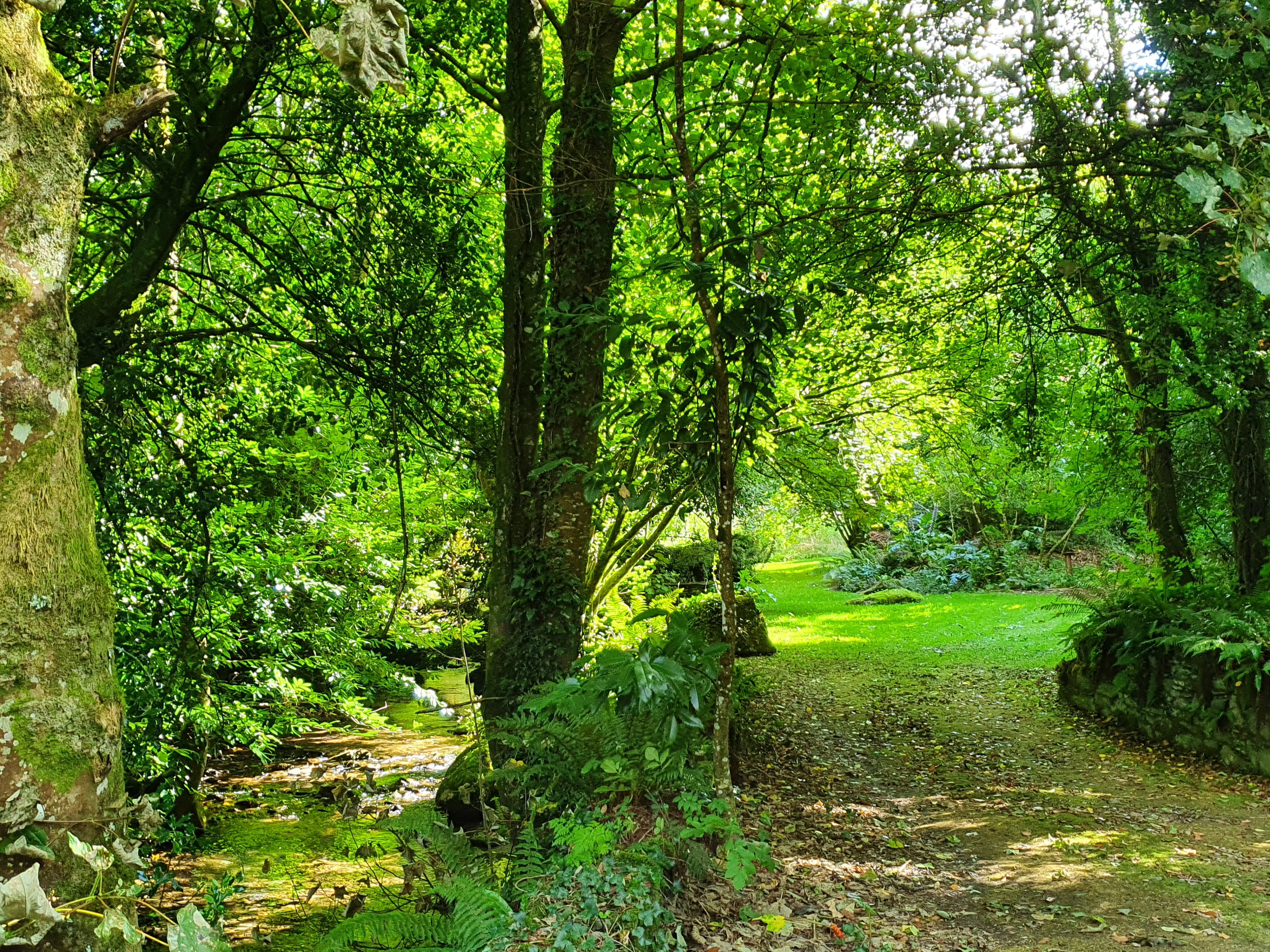 Casa nella natura a Carrick-on-Suir